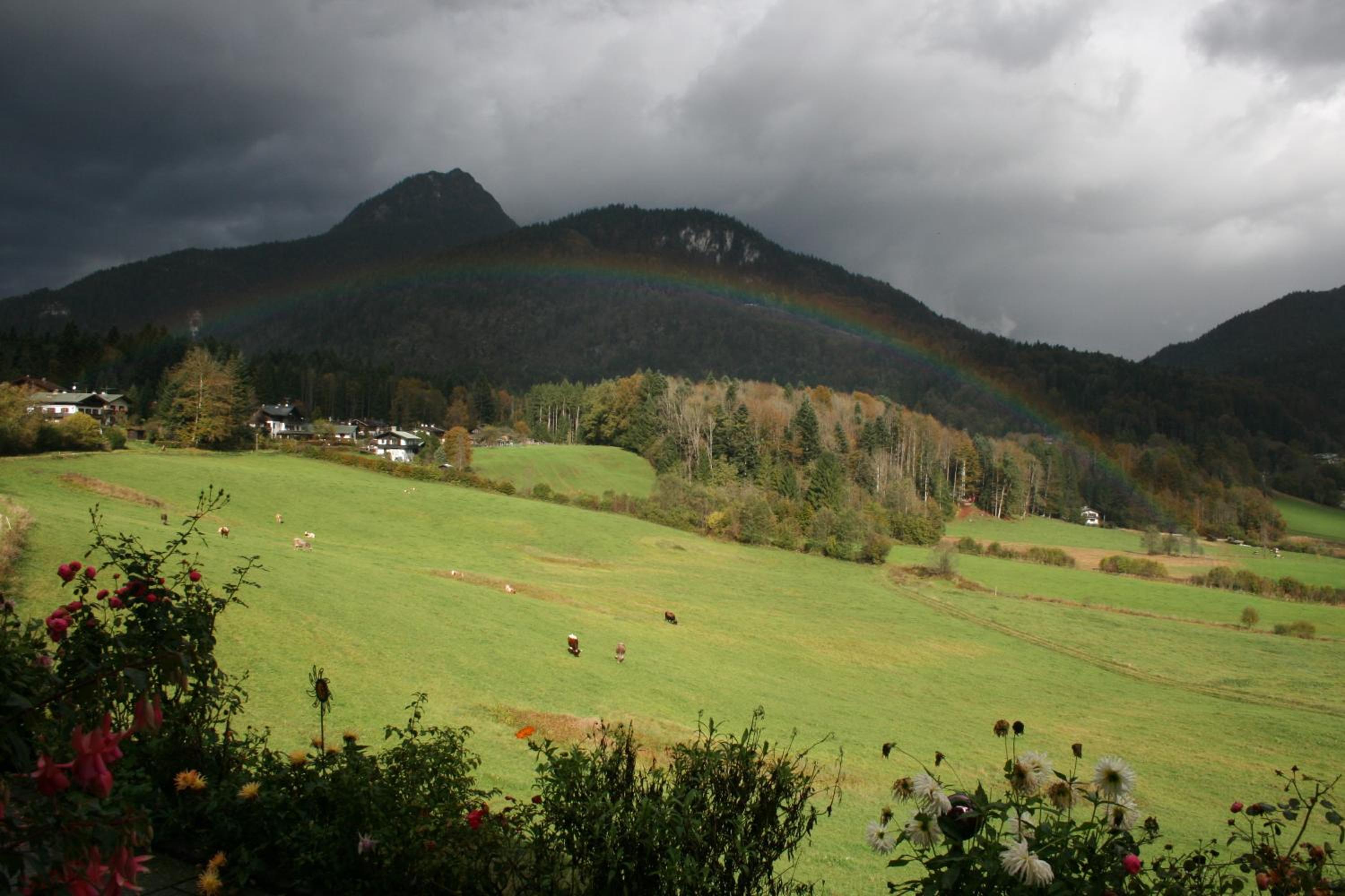 Photo 21