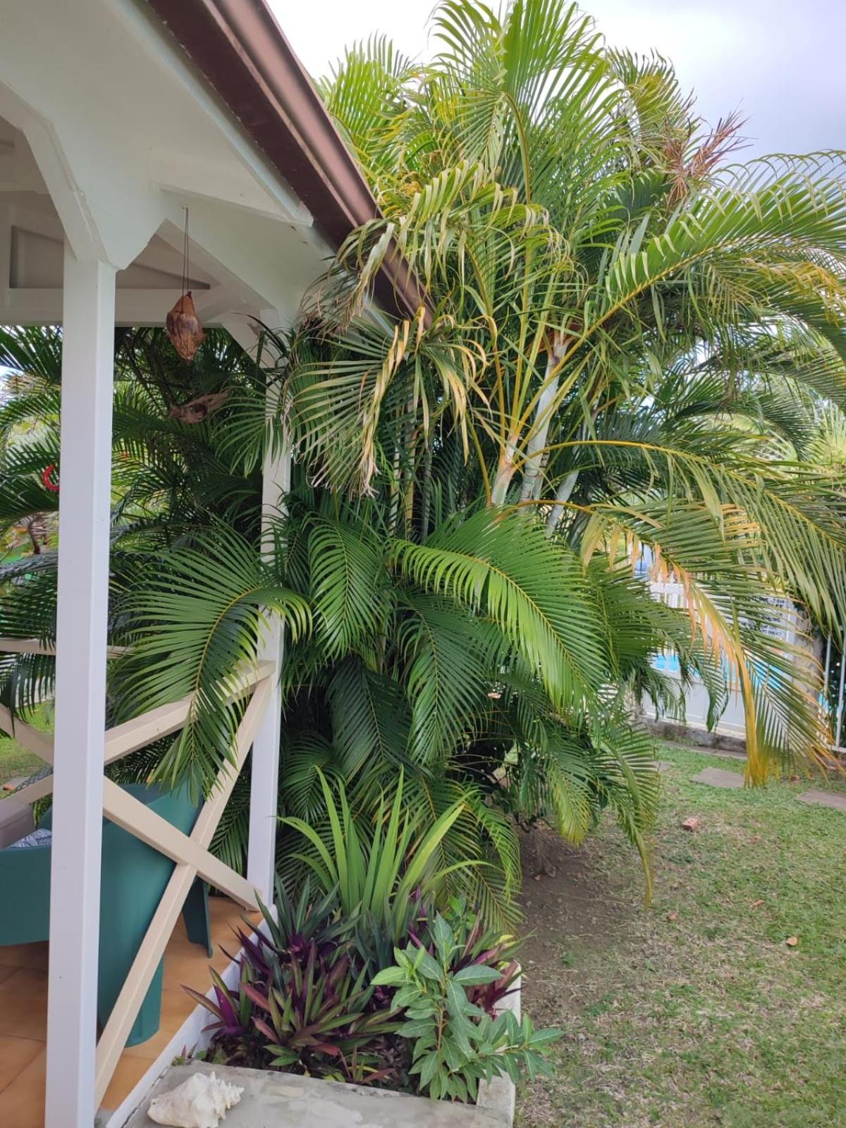 Gîte Ti Papiyon