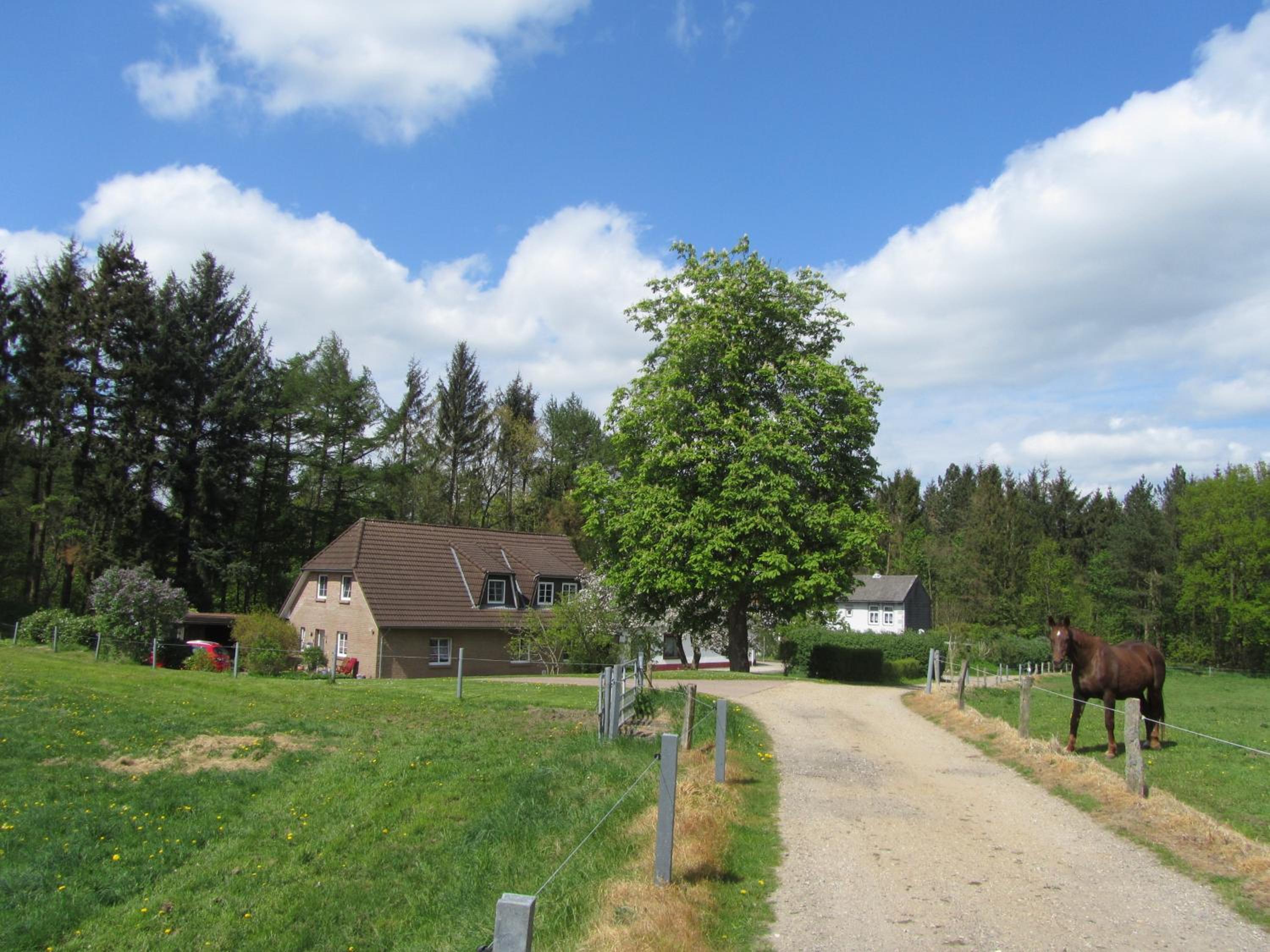 Ferienwohnung Holt view 5