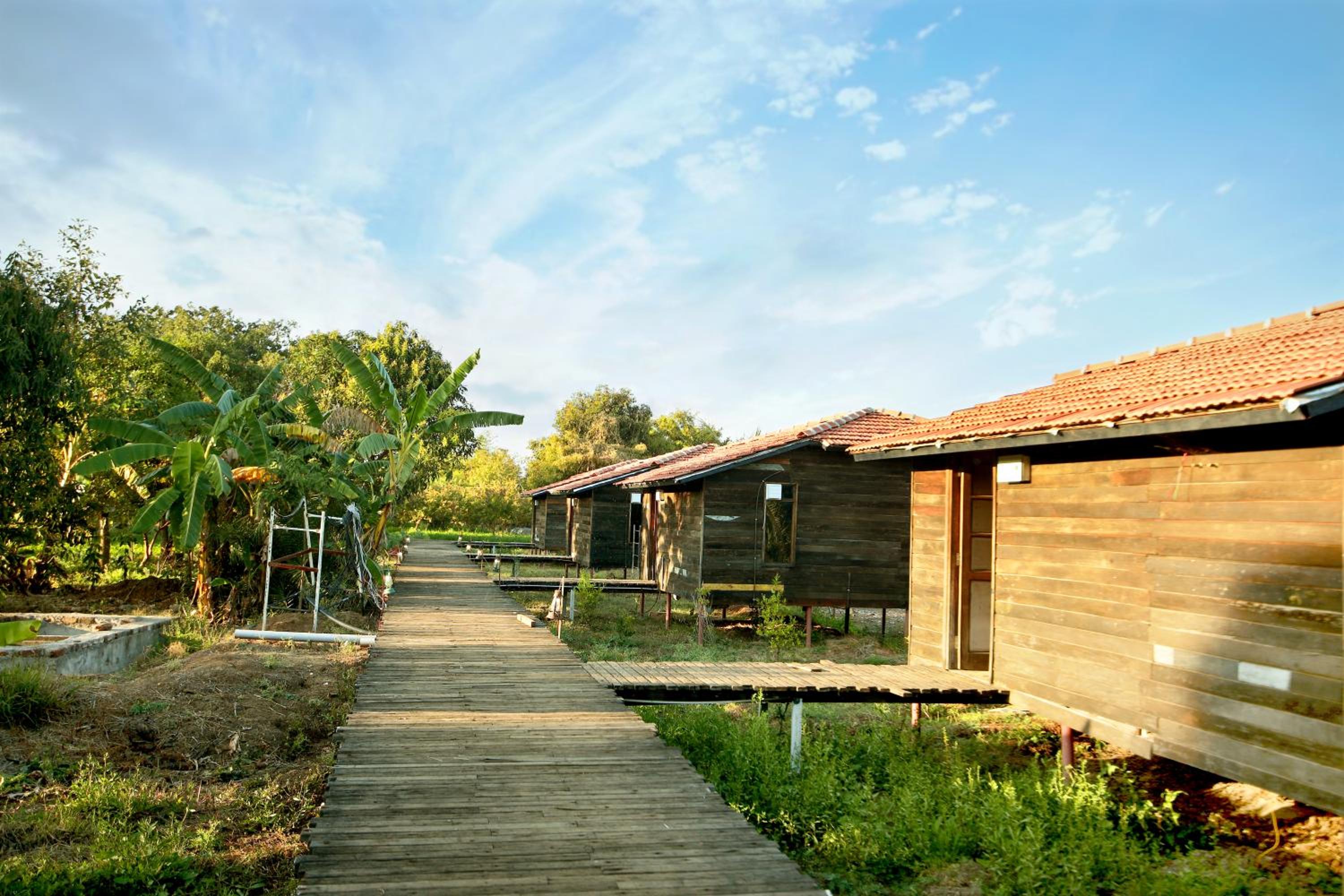 Pangarh Lake Retreat view 5