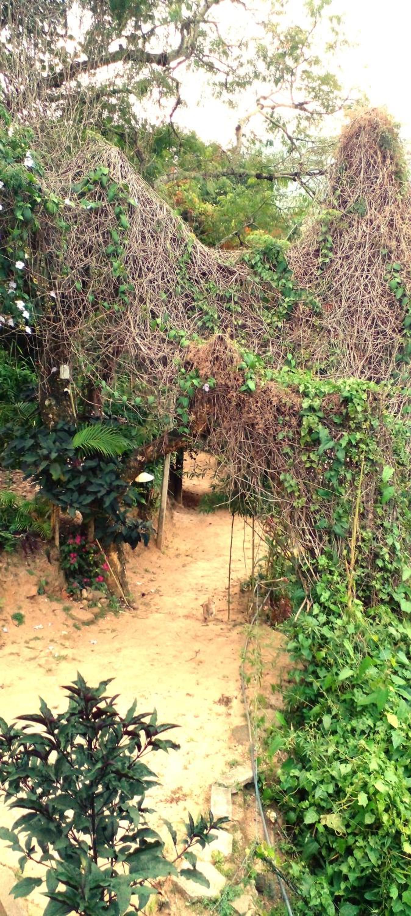 Photo 6