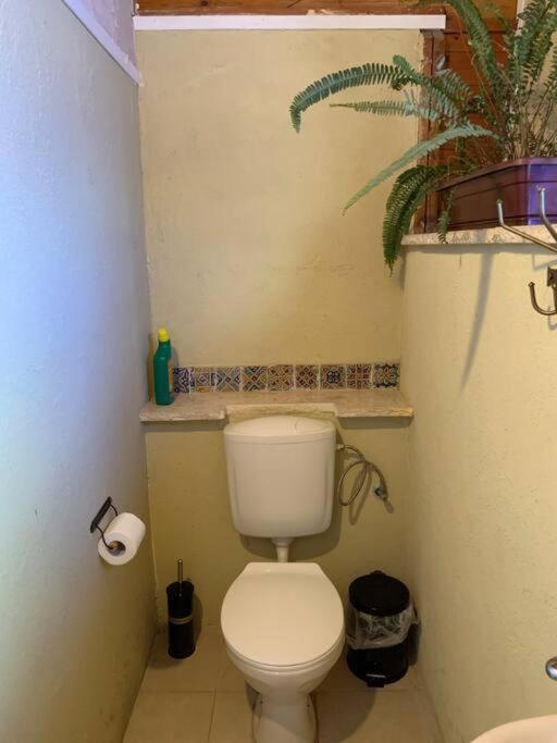 Photo 48