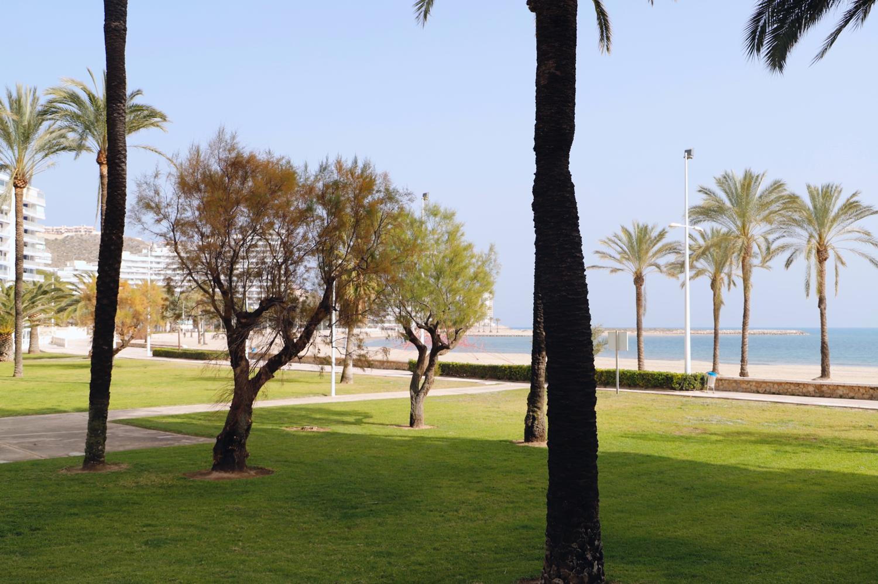 Almar Collection Cullera AR