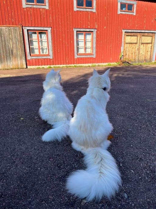 Muntergården i Nusnäs
