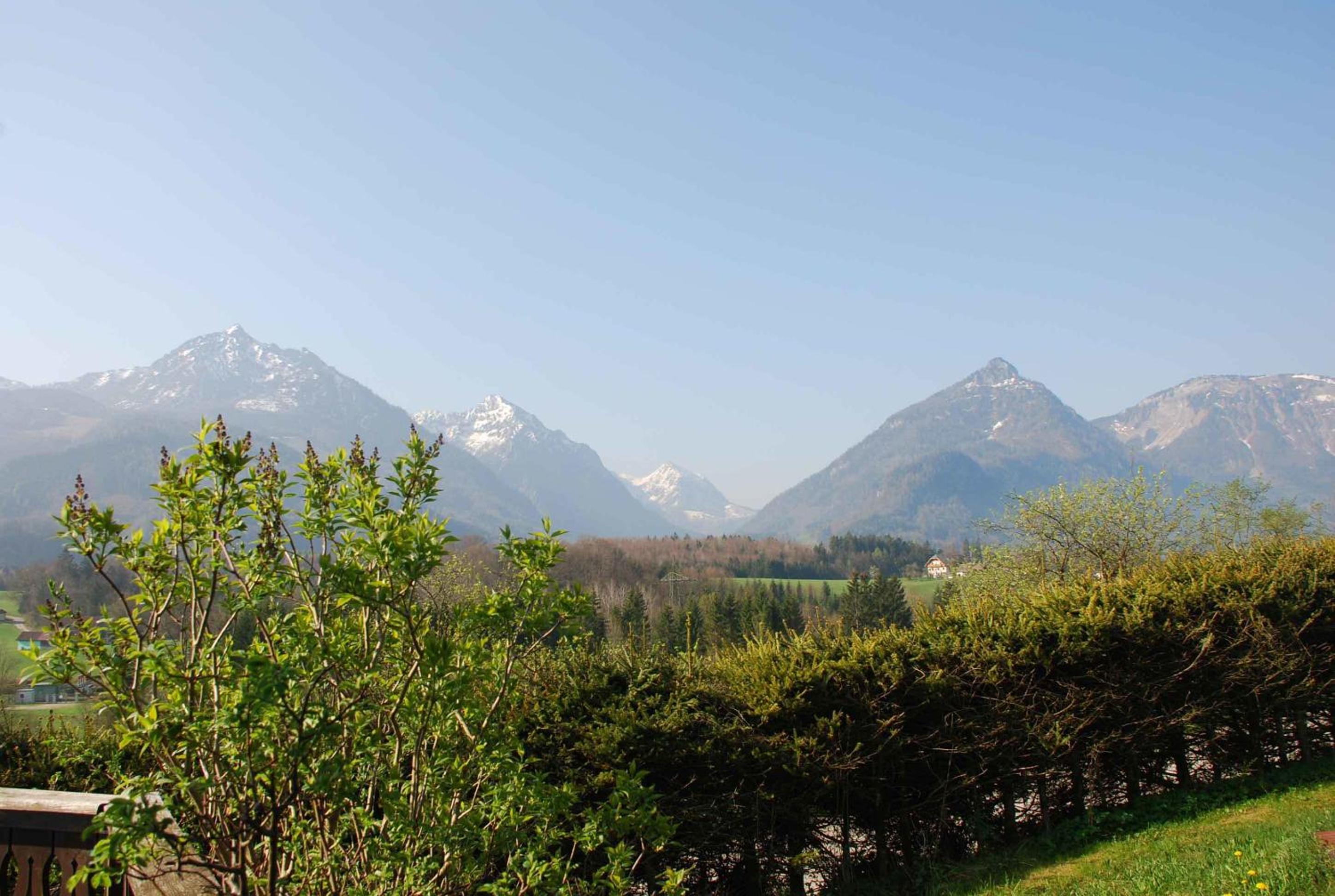Weinbachbauer - Urlaub am Bauernhof