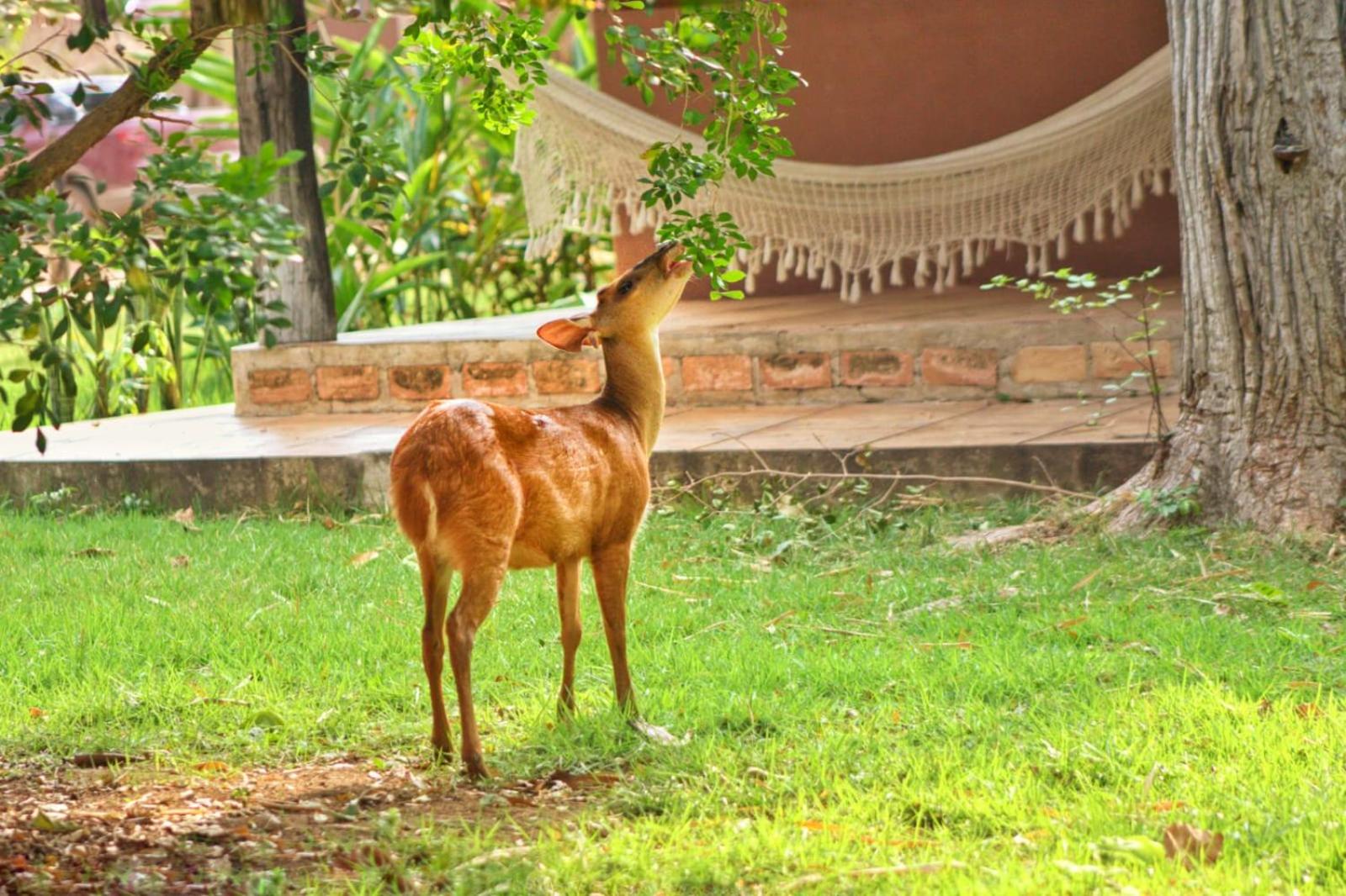 Aymara Lodge