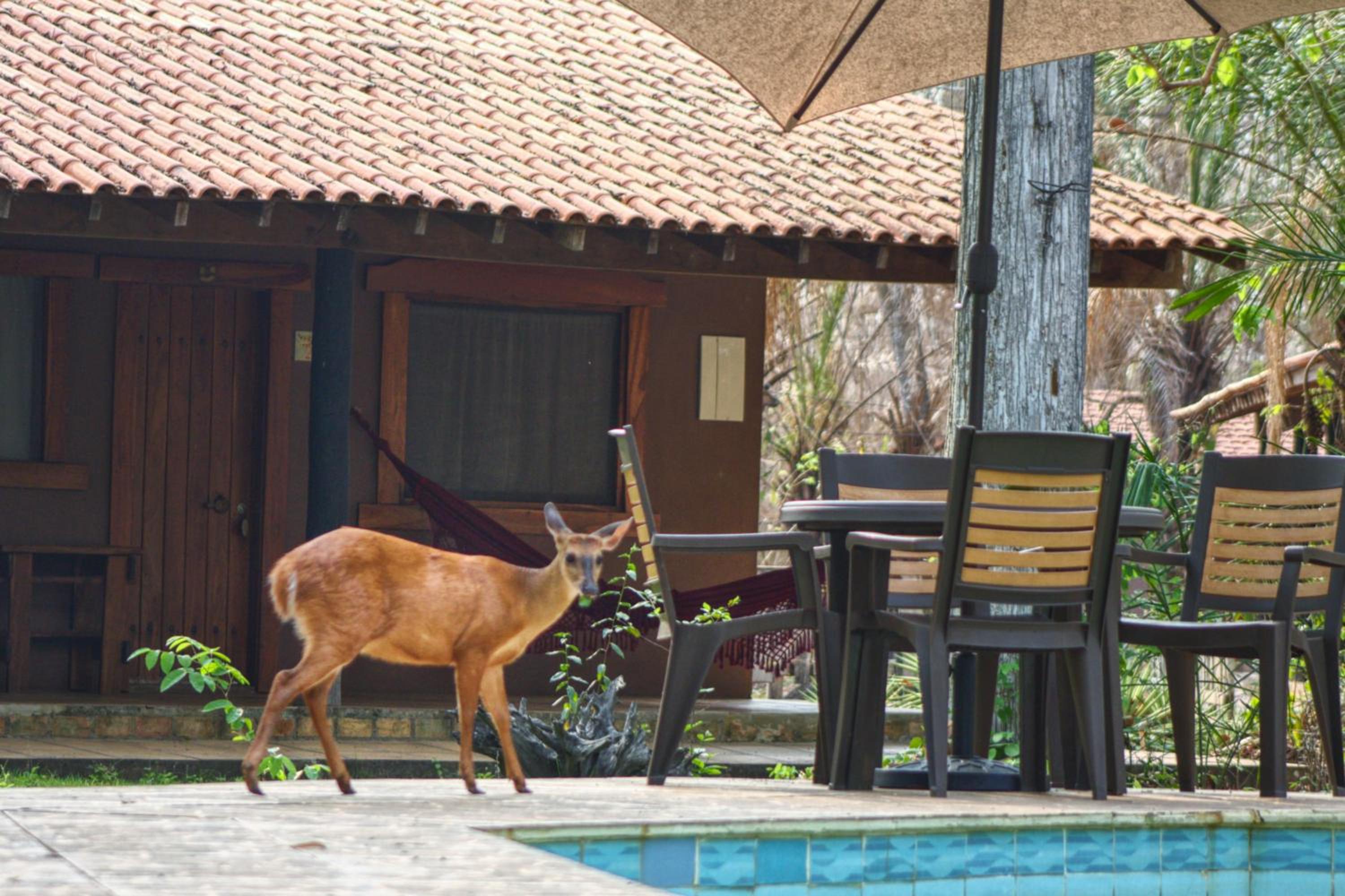 Aymara Lodge