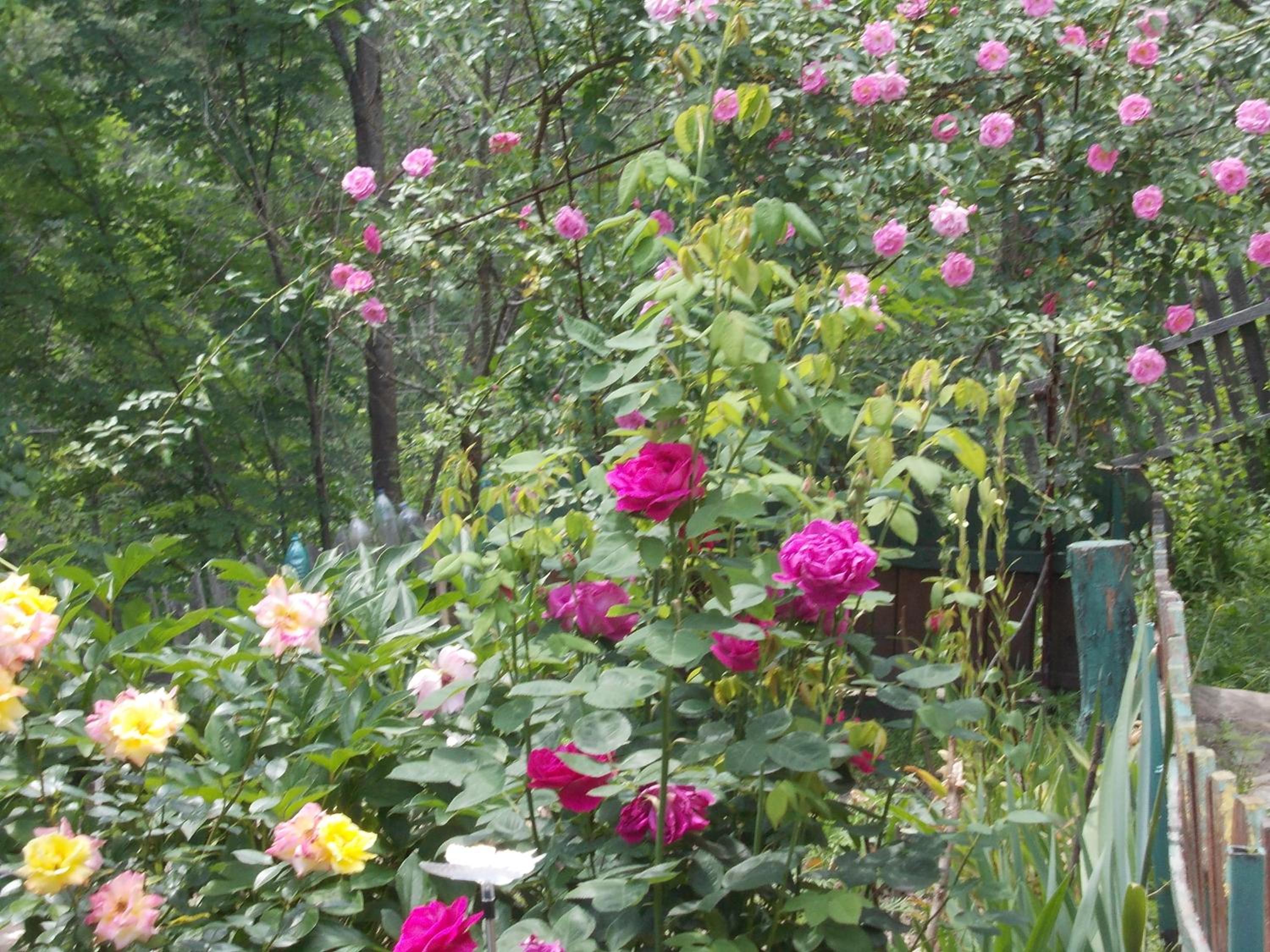 Photo 20