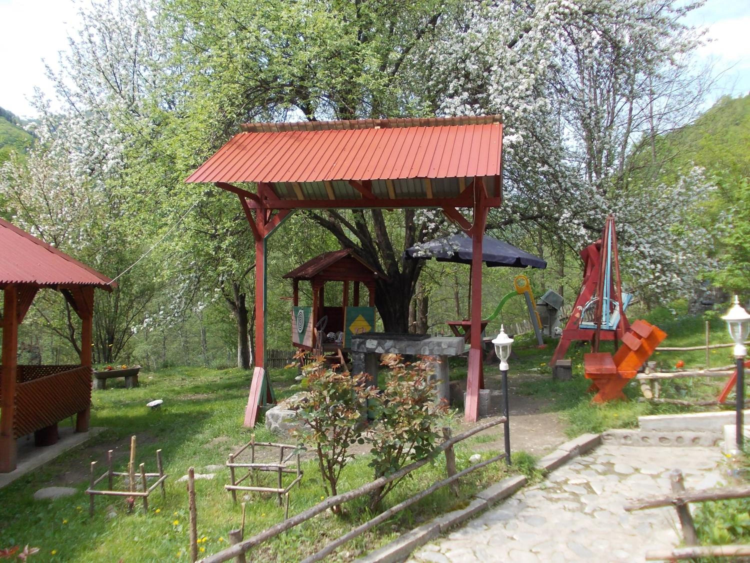 Photo 21
