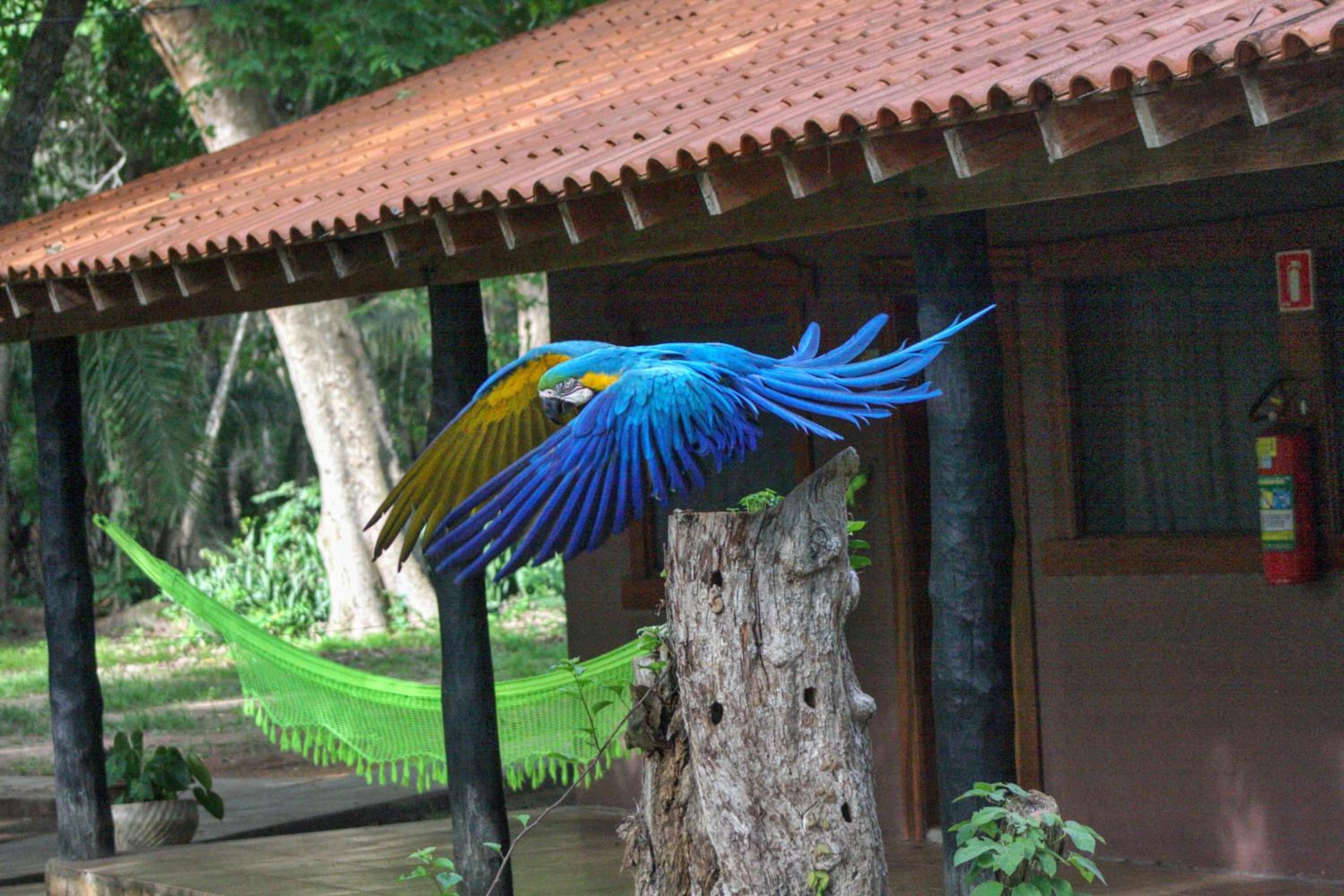 Aymara Lodge