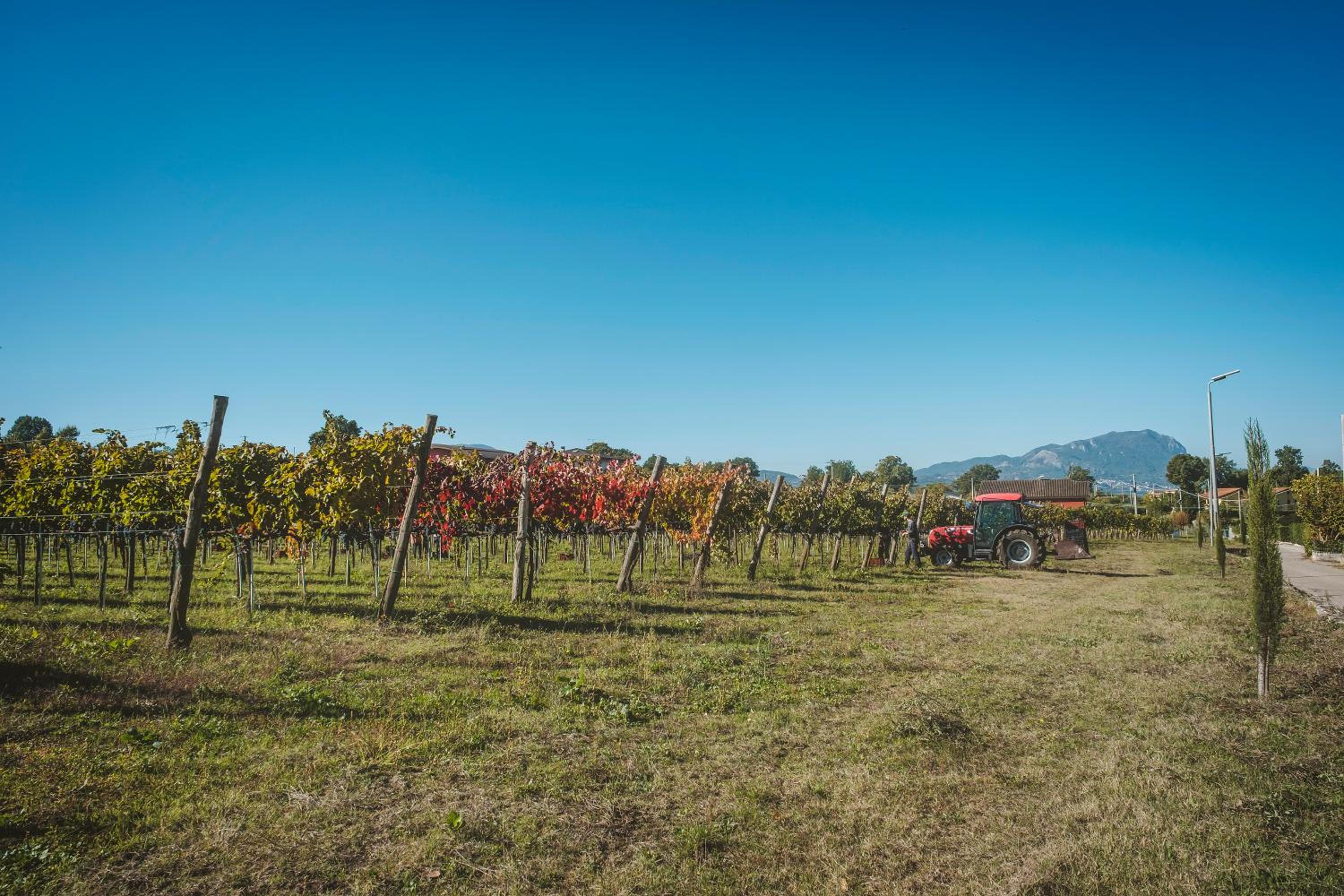 Agriturismo Bellofatto