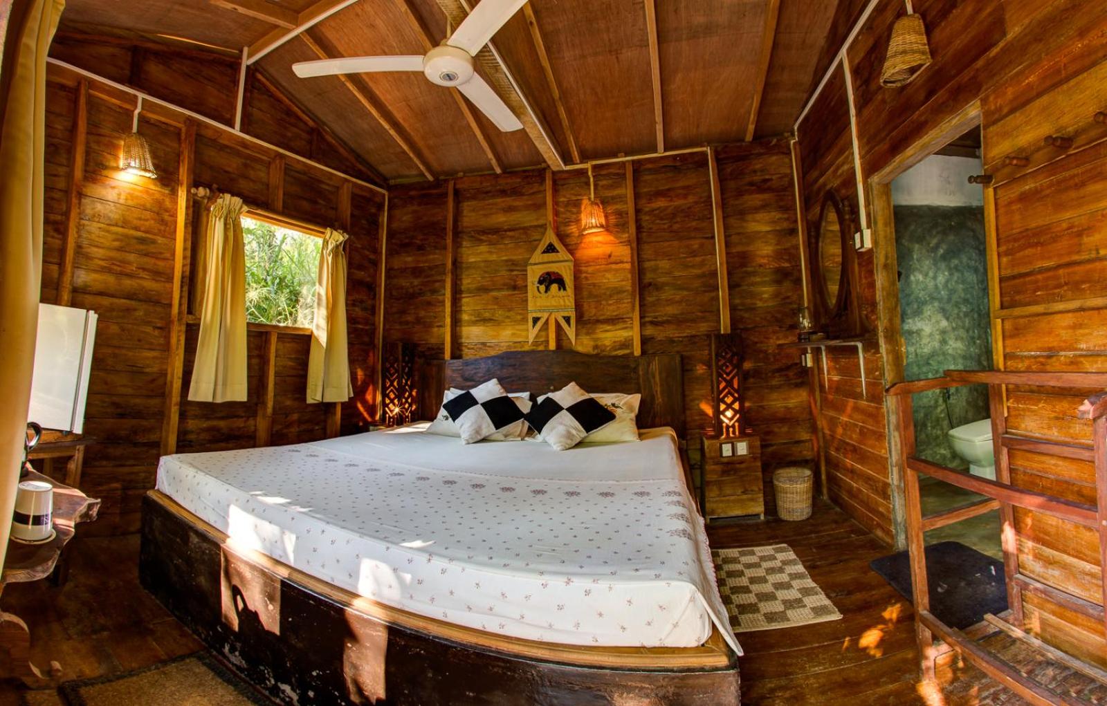 360 Rainforest view 4