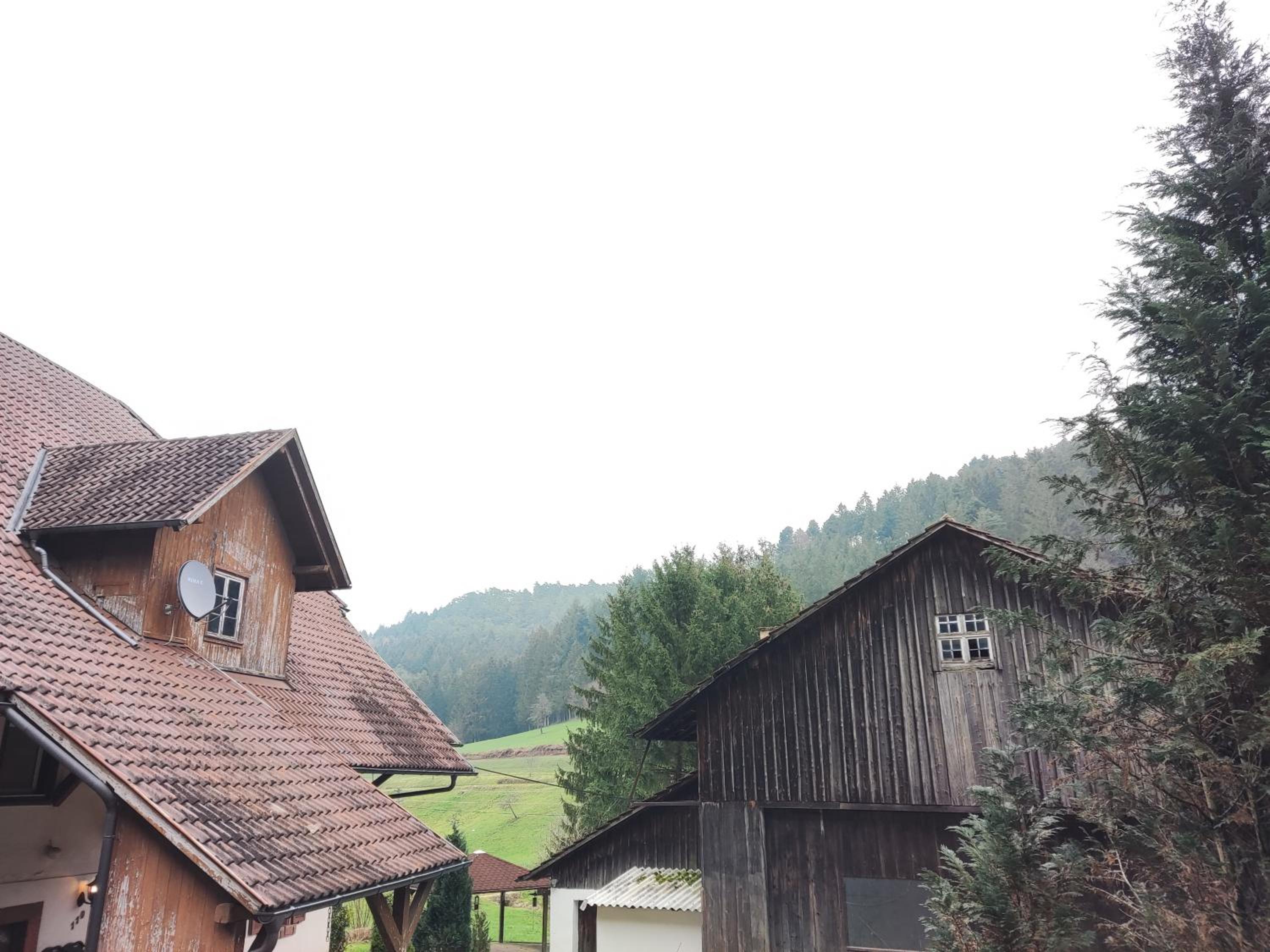Geräumige Wohnung im Schwarzwald