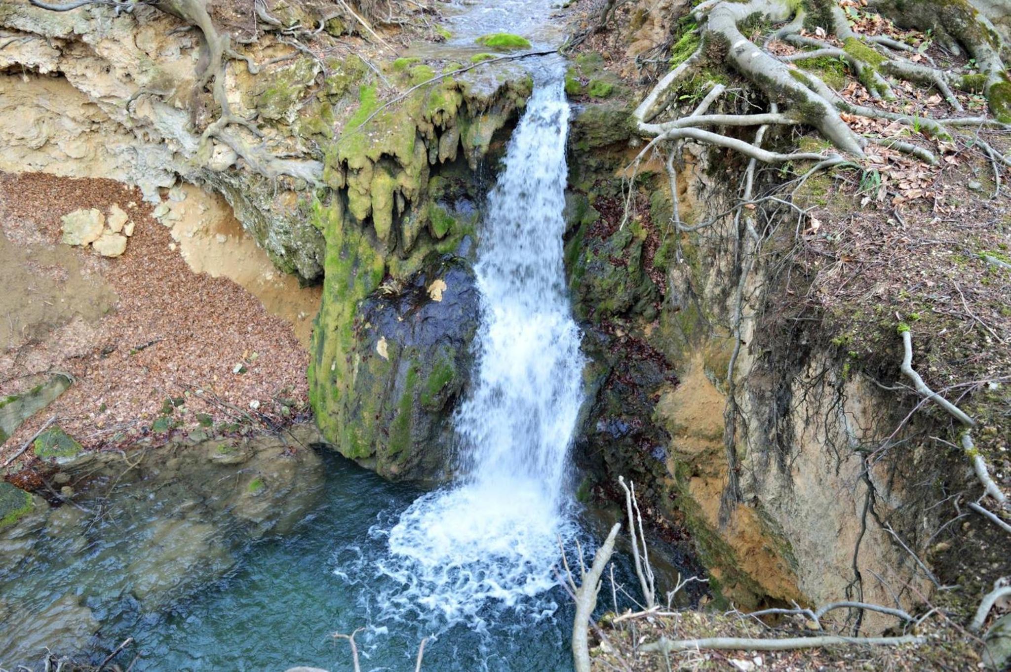 Photo 31