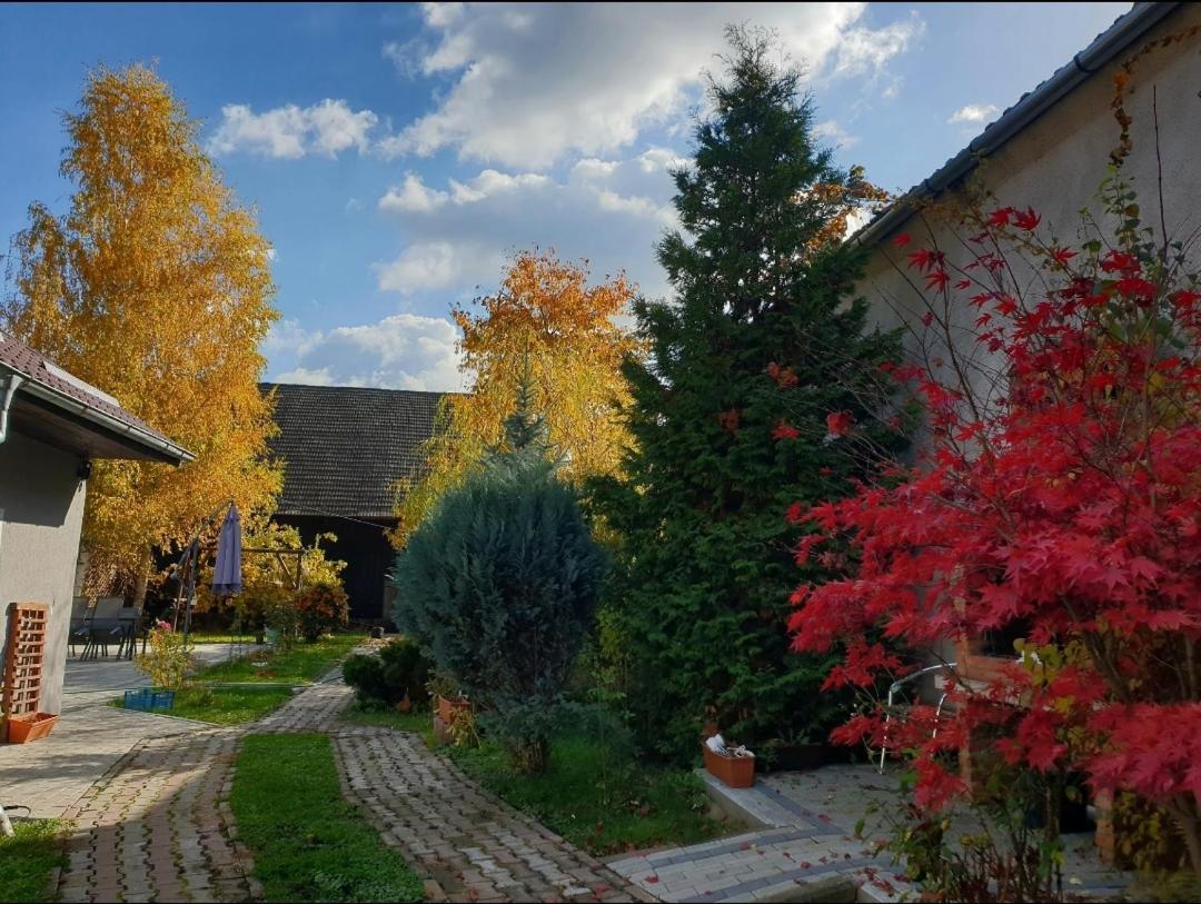 Tartlau House view 2