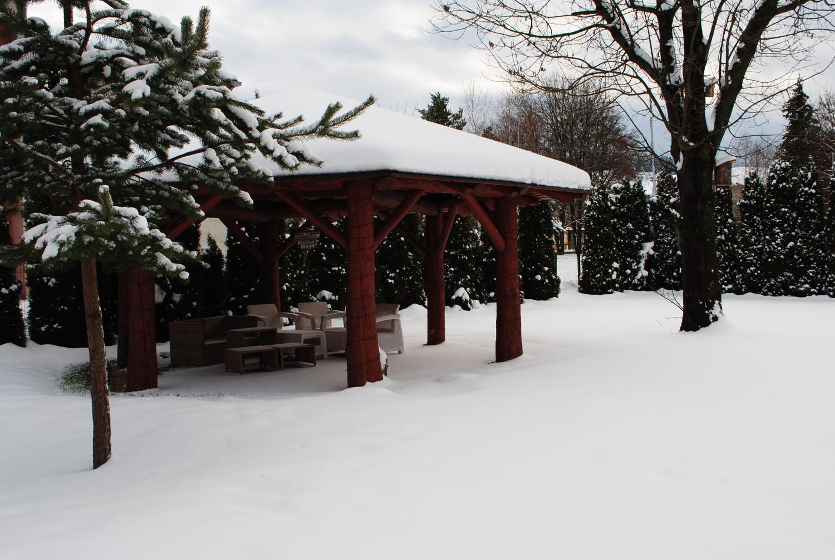 Photo 41