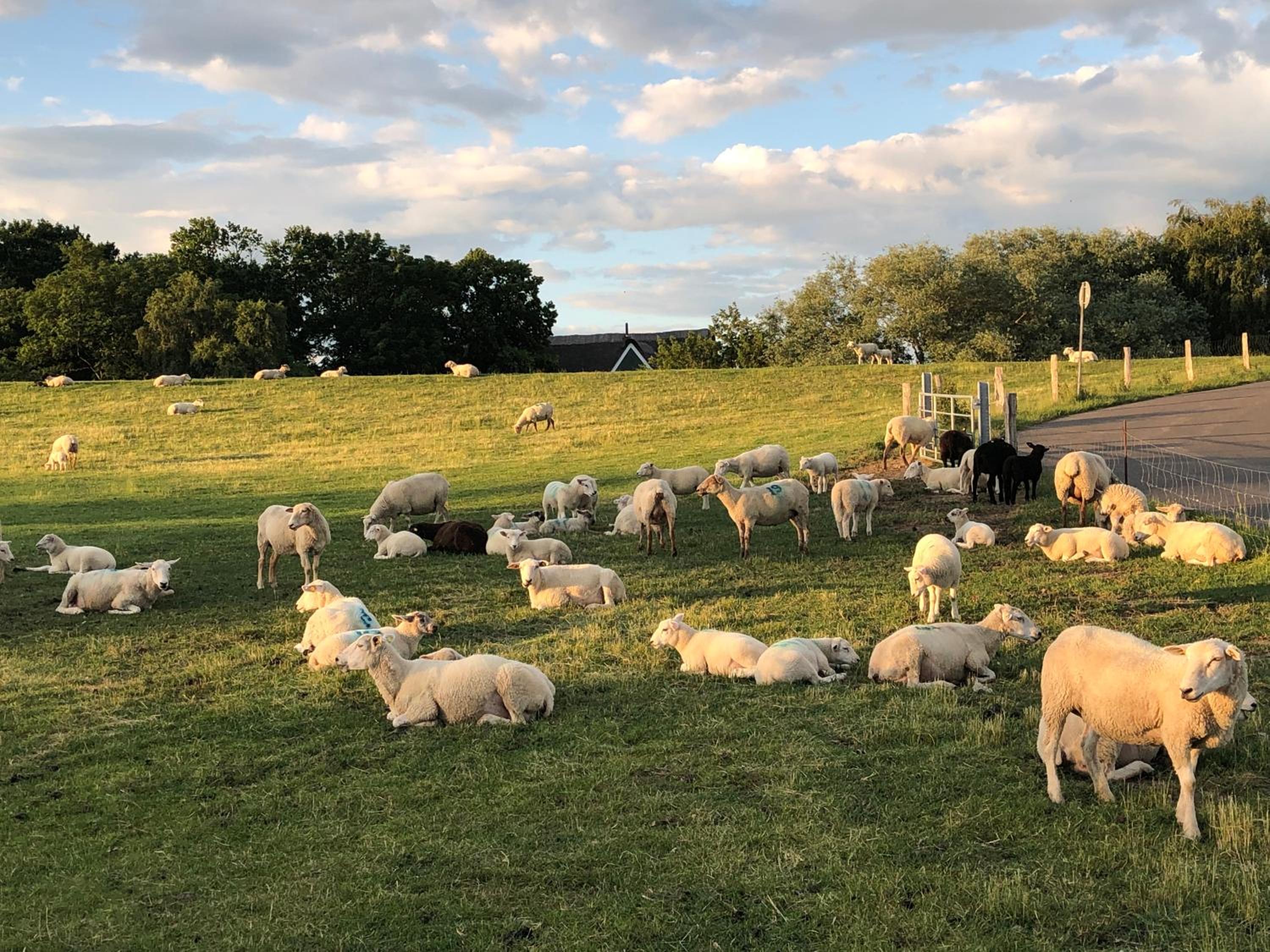 Photo 119