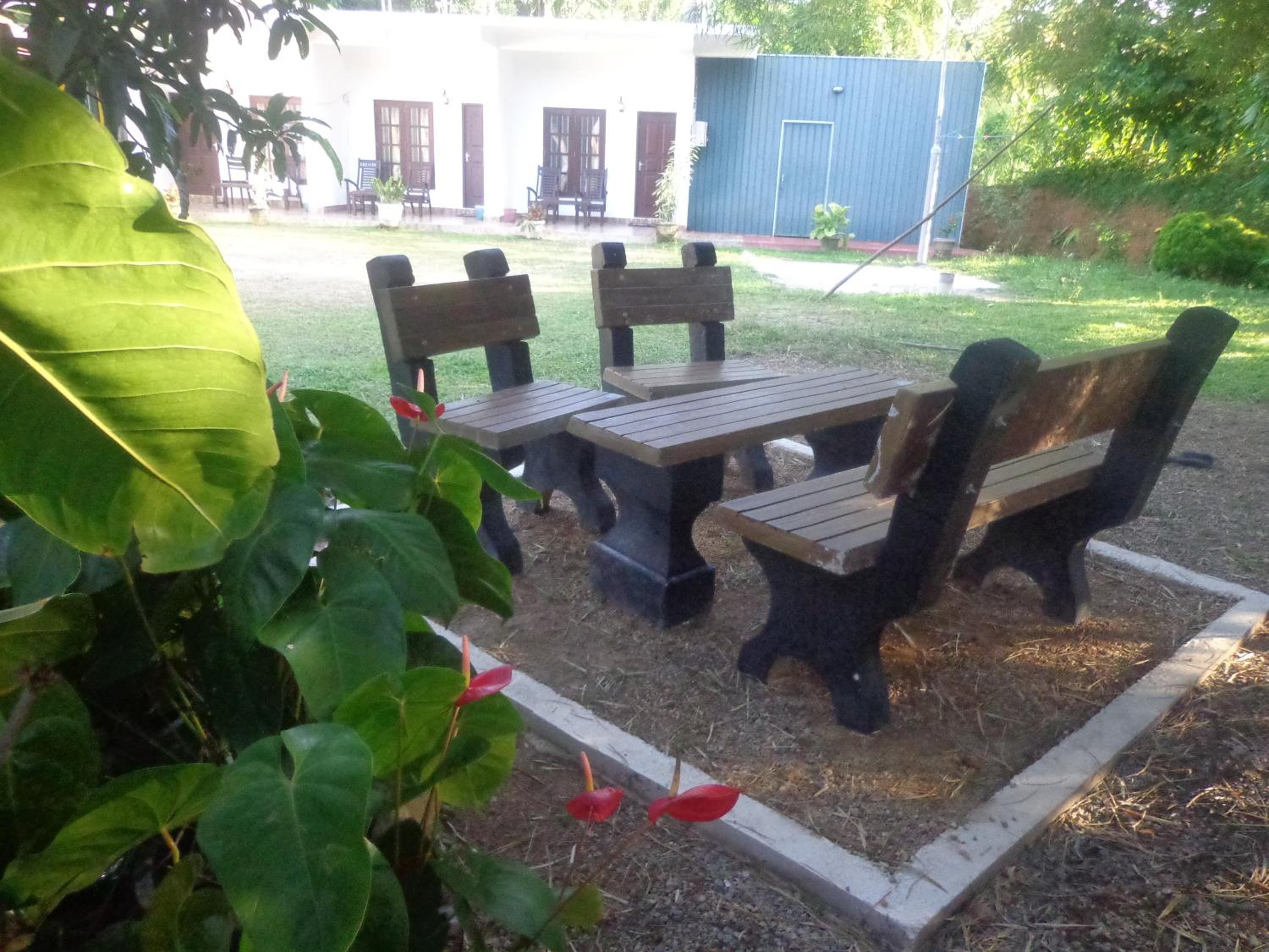 Shadow Homestay