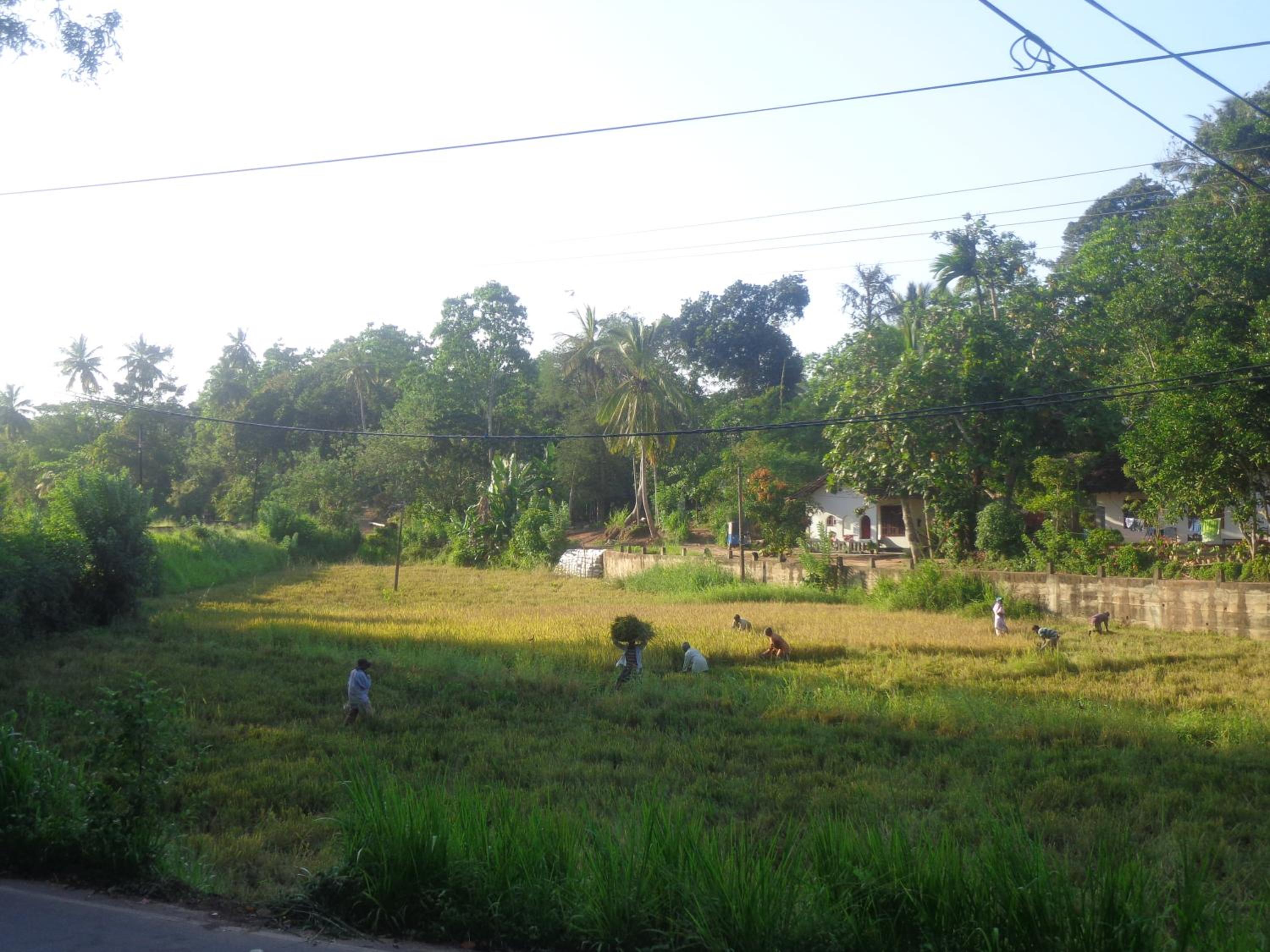 Shadow Homestay