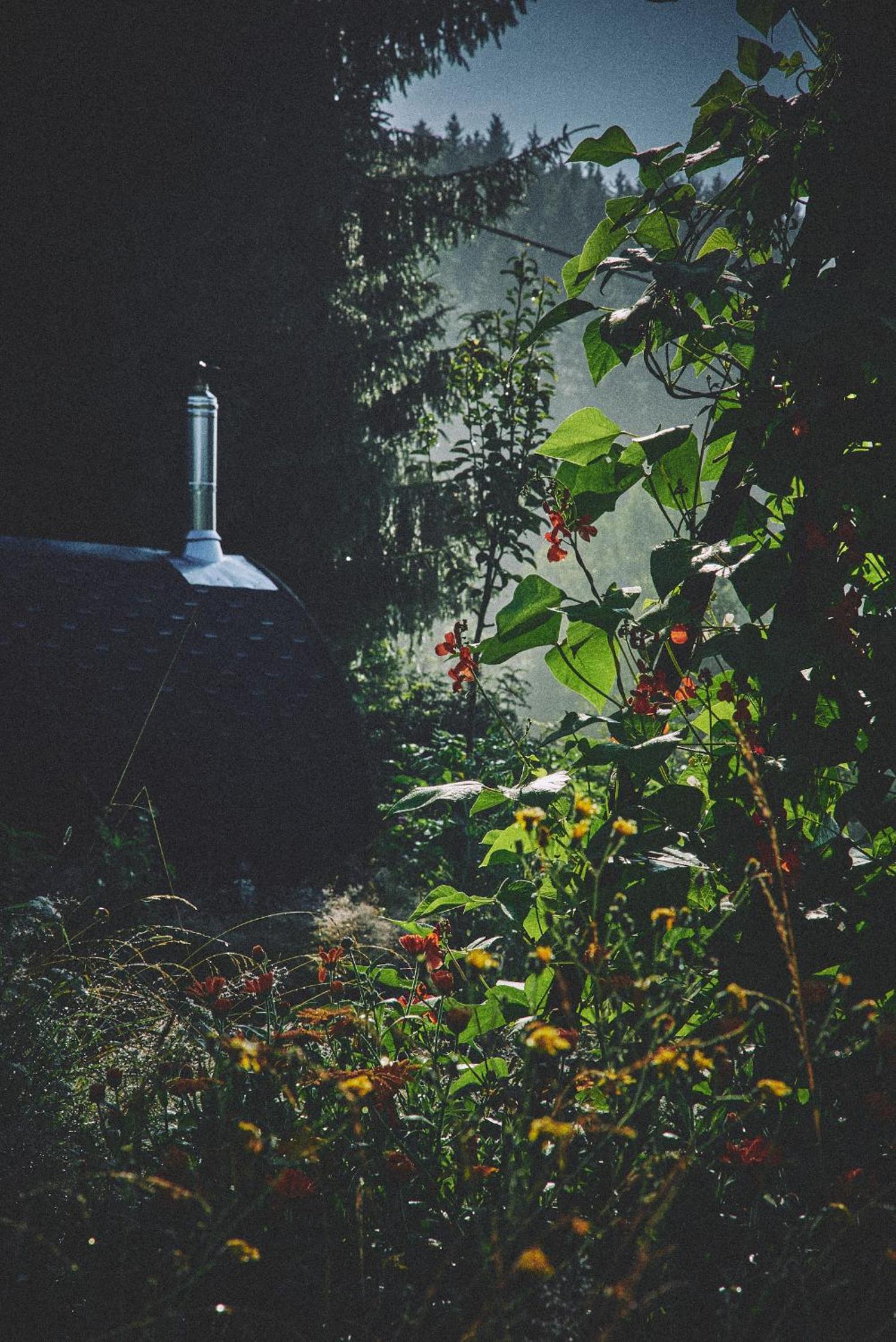 Loft of Light