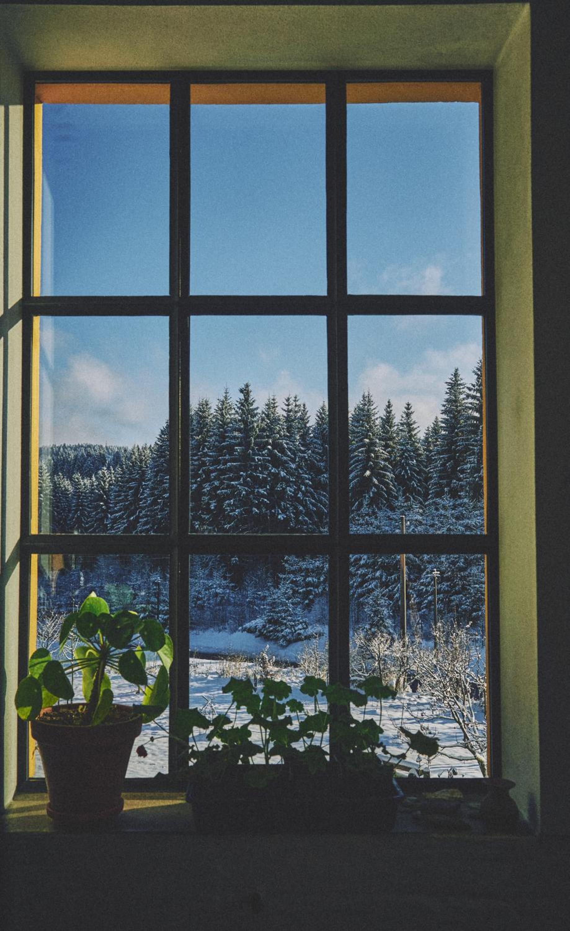Loft of Light