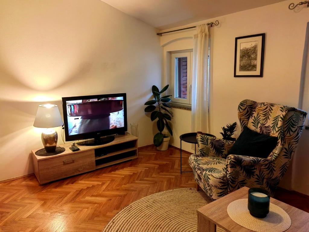 Apartment Albina