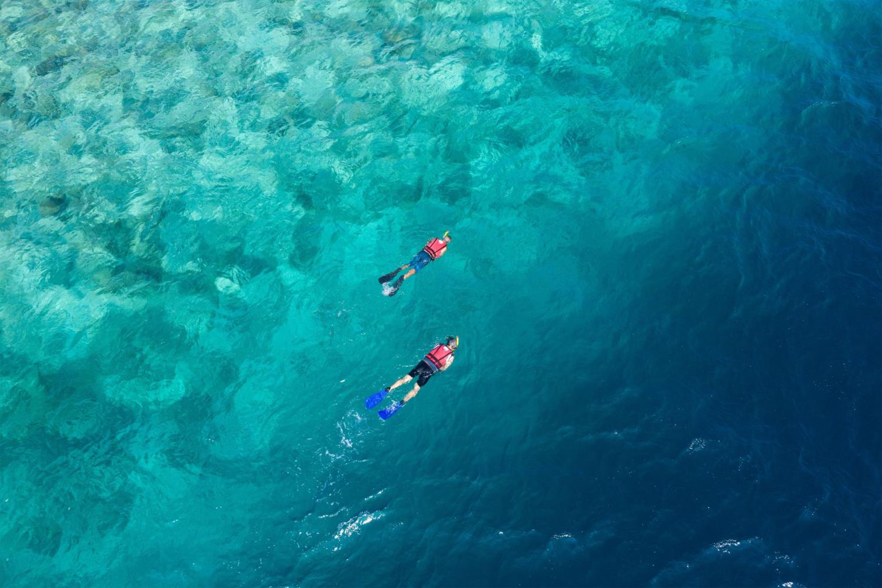 The Ocean Club, a Luxury Collection Resort, Costa Norte - Property Image 116