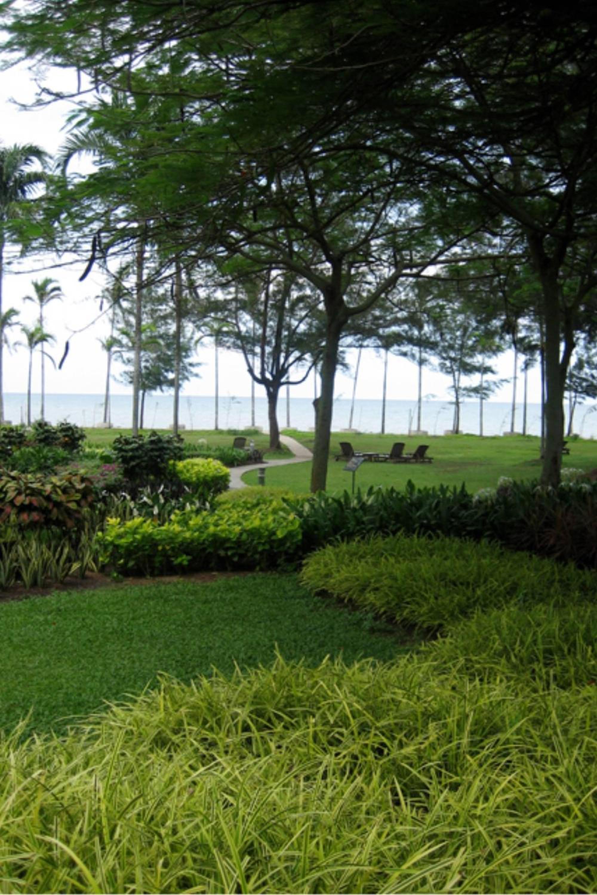 Miri Marriott Resort & Spa photo 8