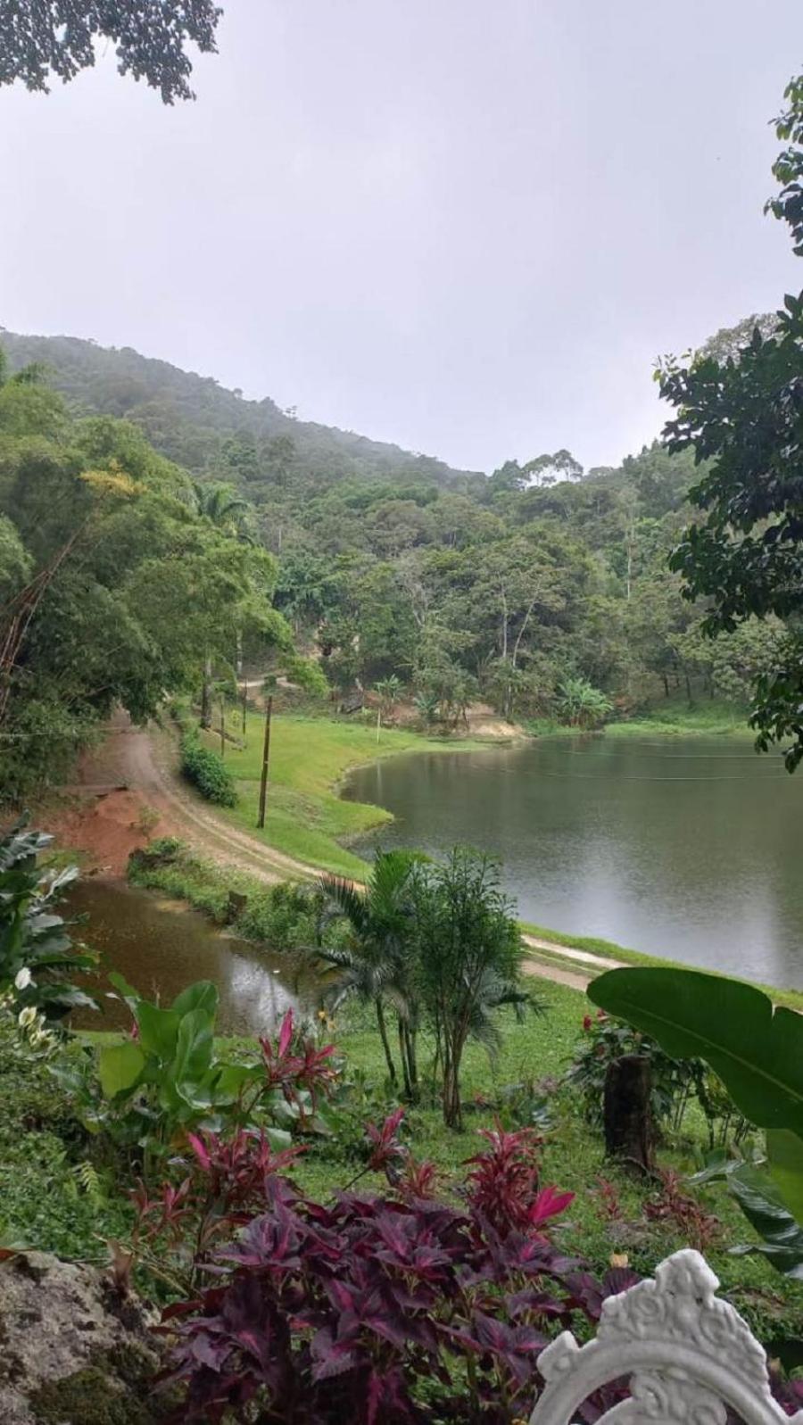Casa Sítio Floresta de Guaramiranga