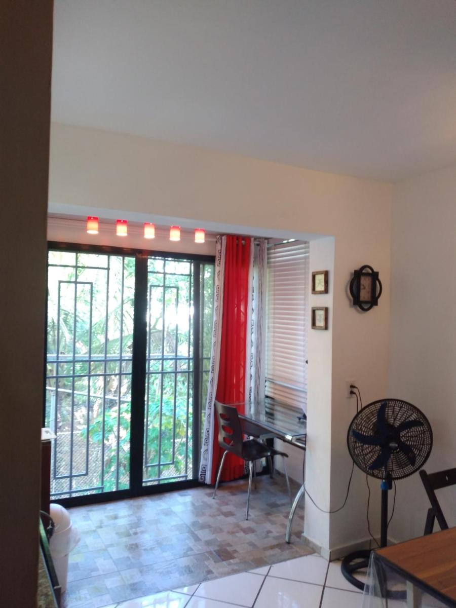 Studios in Caribe Campo view 3