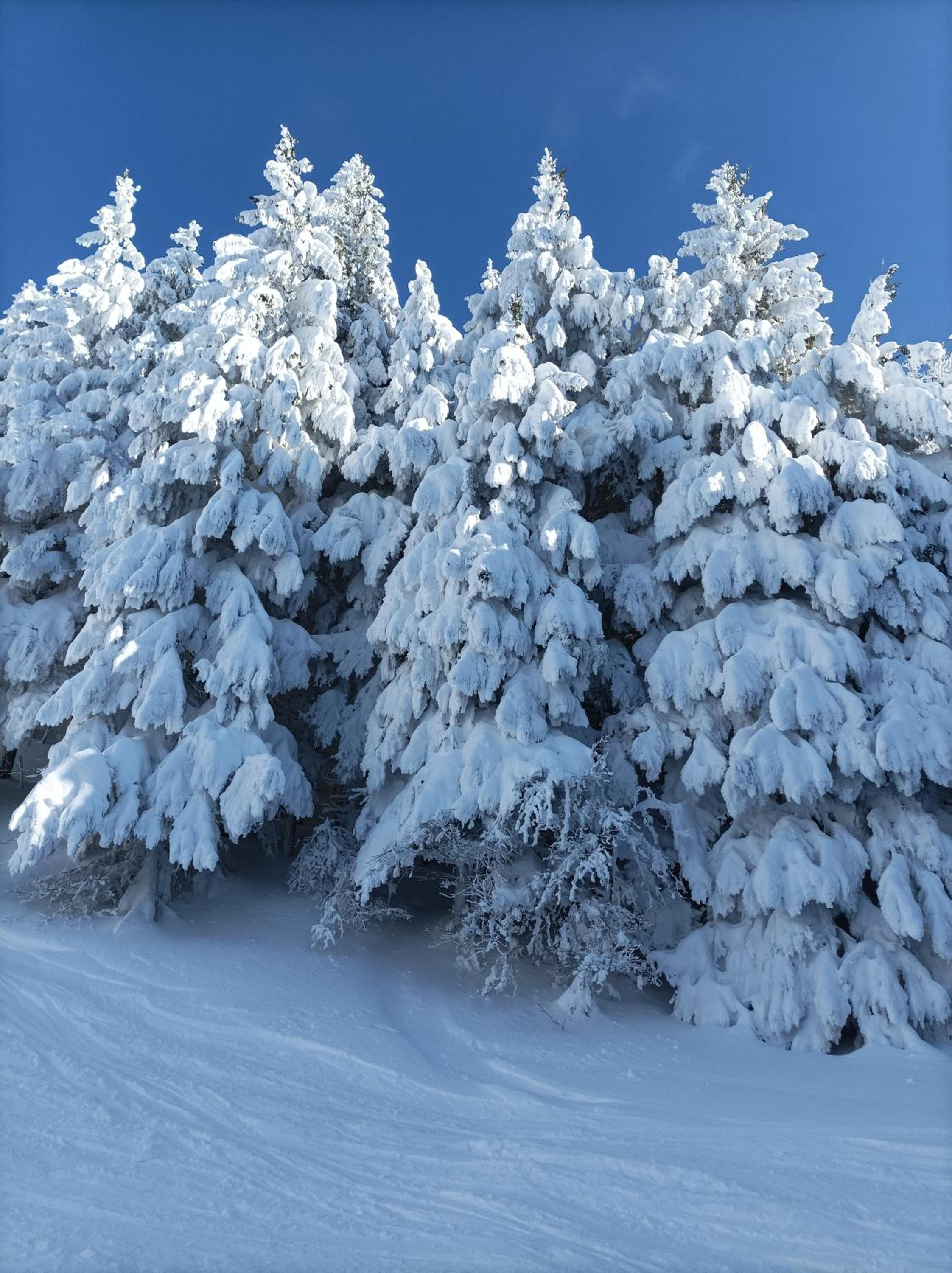 Monolocale sulle piste alle Polle view 5