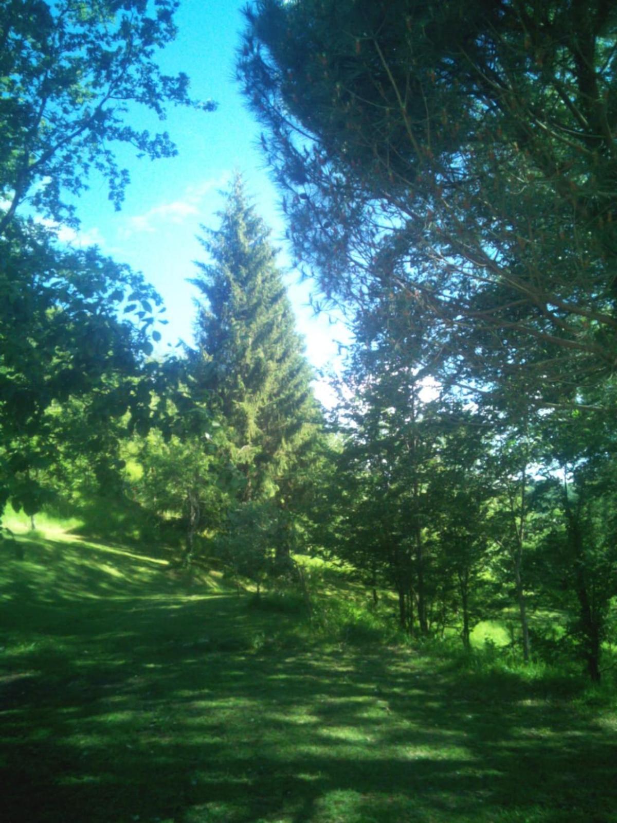 il casale di Bruno e Pina view 2