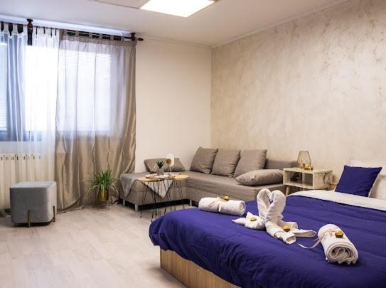 Center Cozy Apartment