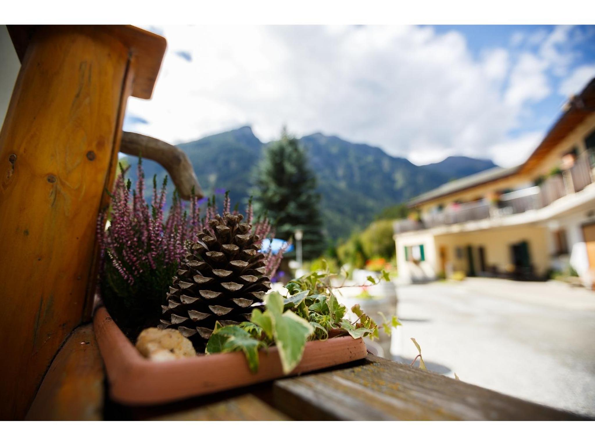 Agriturismo Miravalle