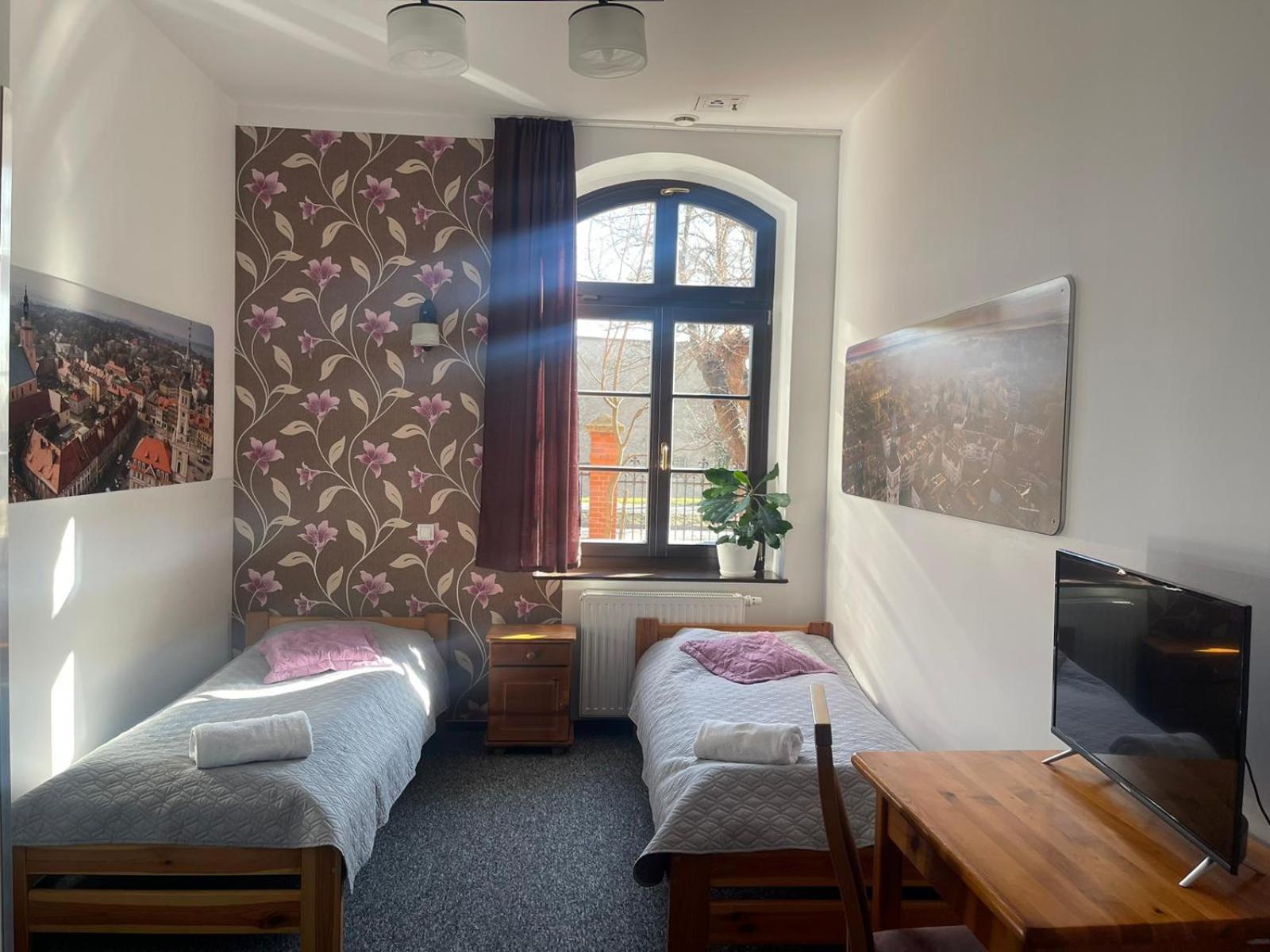 Szkolne Schronisko Młodzieżowe Dąbrówka view 4