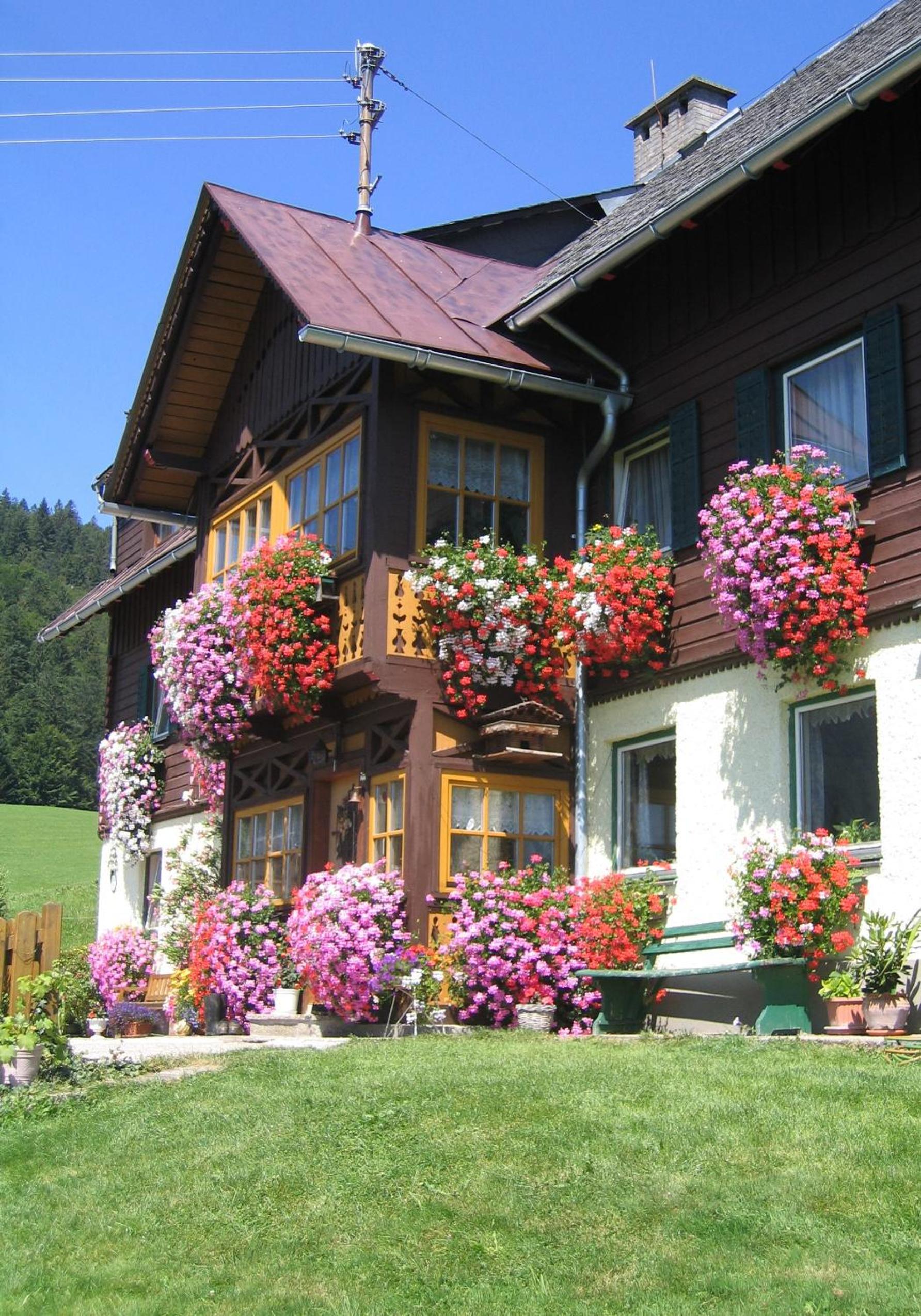 Bauernhof Haim-Schnepfleitner