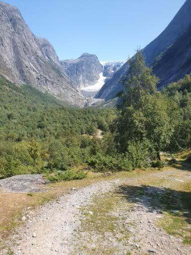 Photo 10