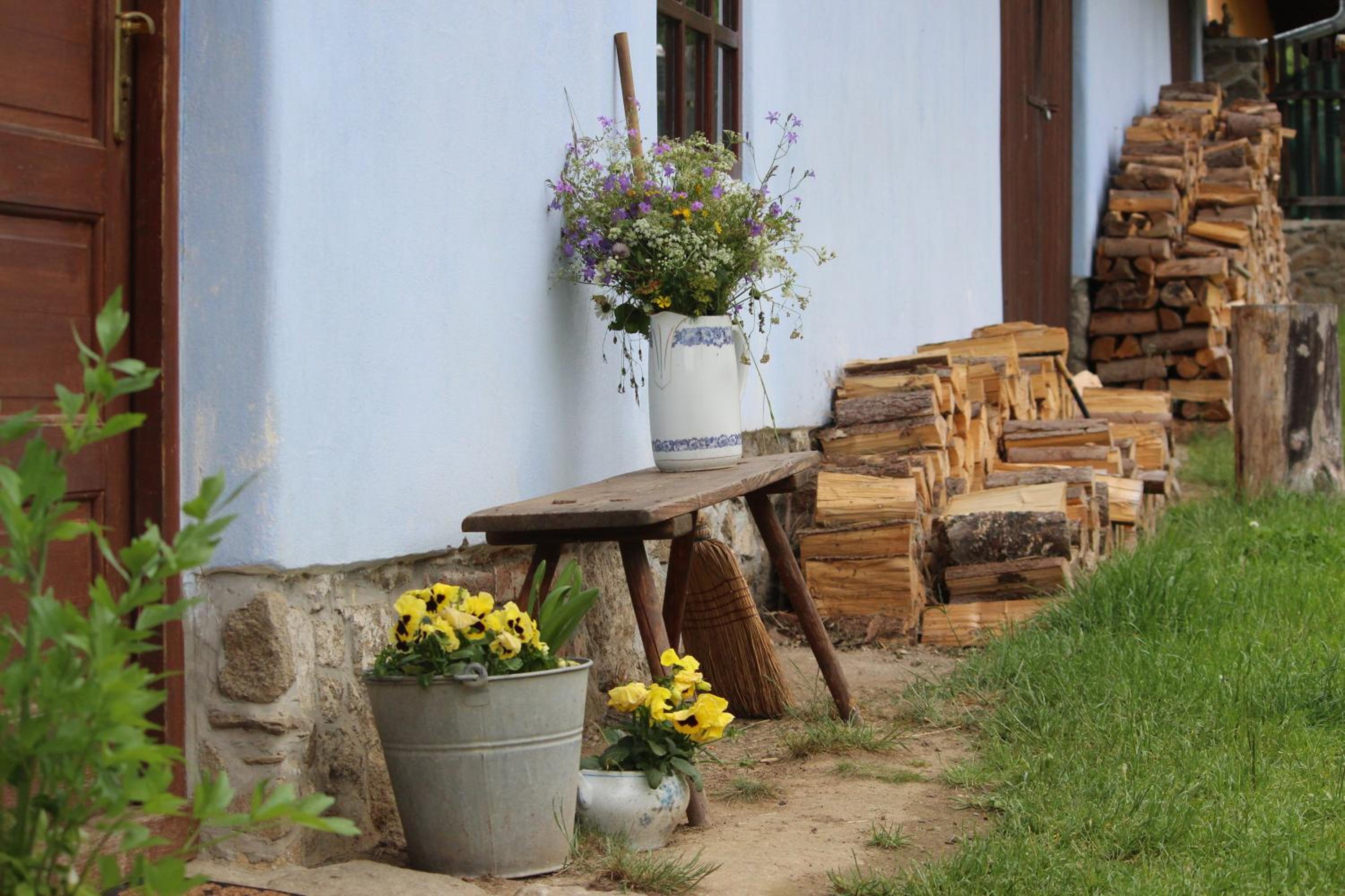 Country house - Slapy/Pazderny