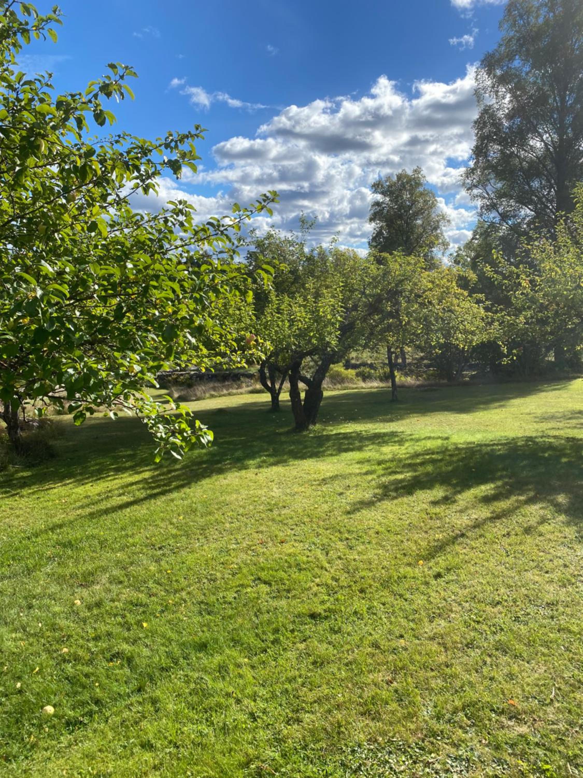 Naturnära hus utanför Reftele närhet till Isaberg och High Chaparral view 4
