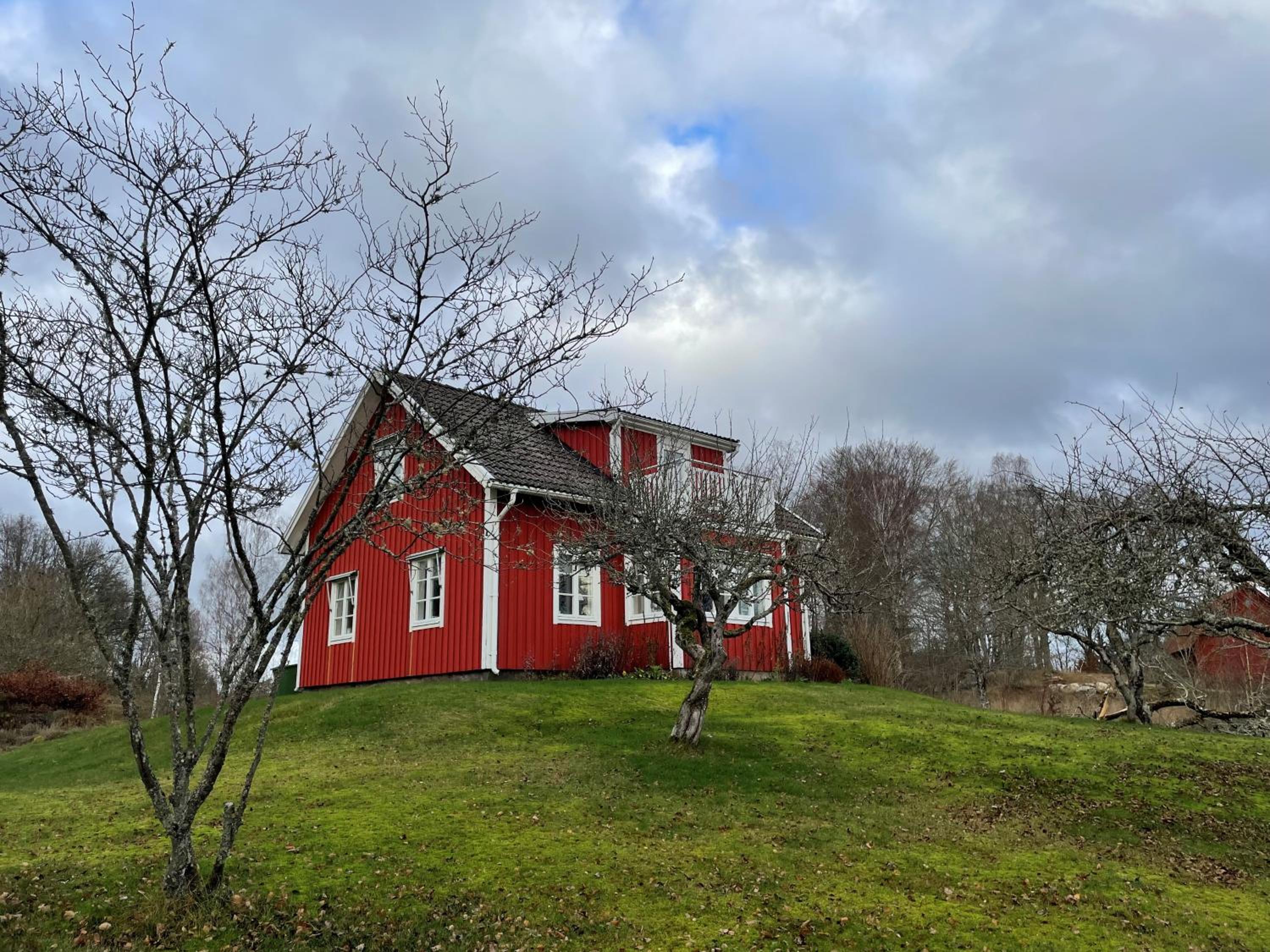Photo 14