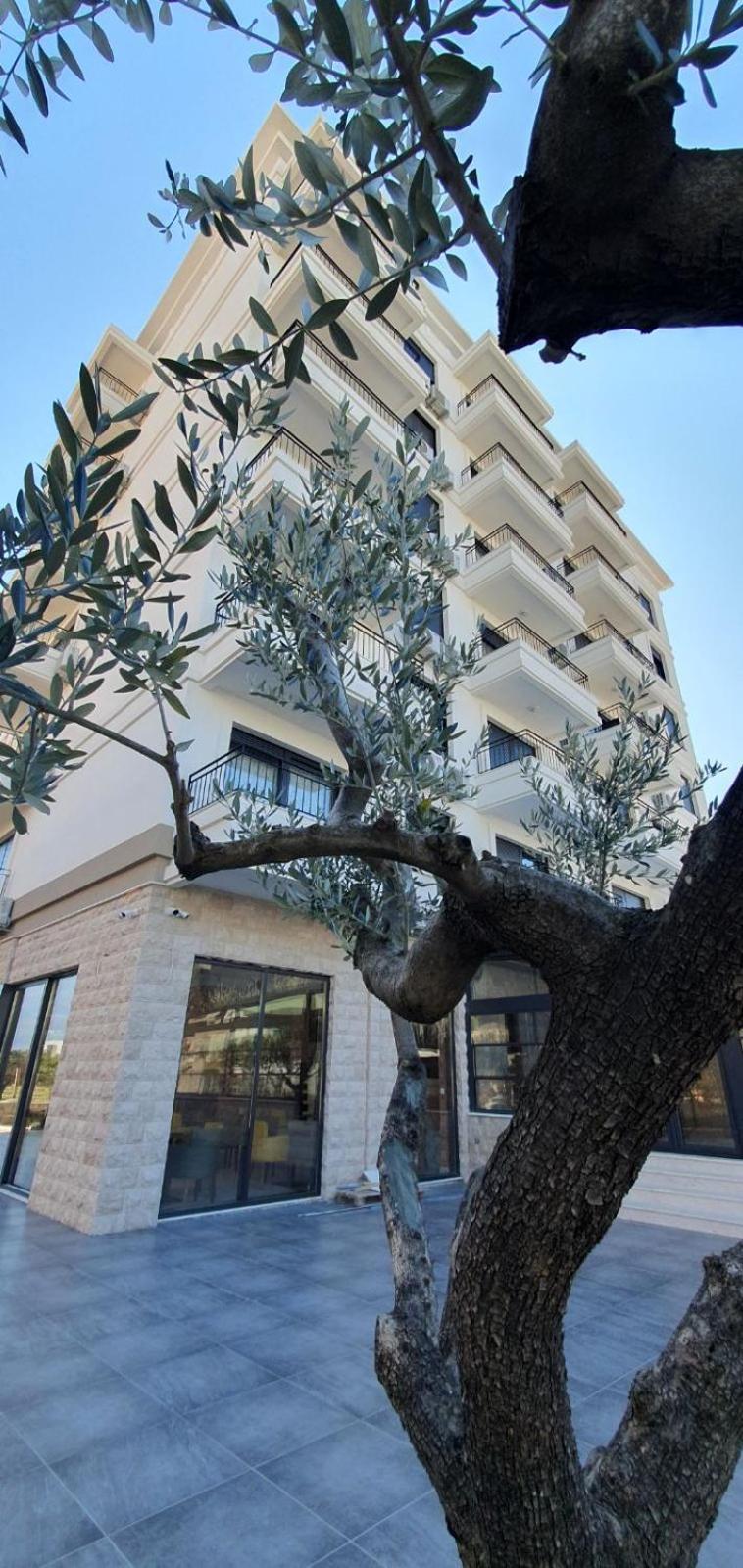 Apartment Verde