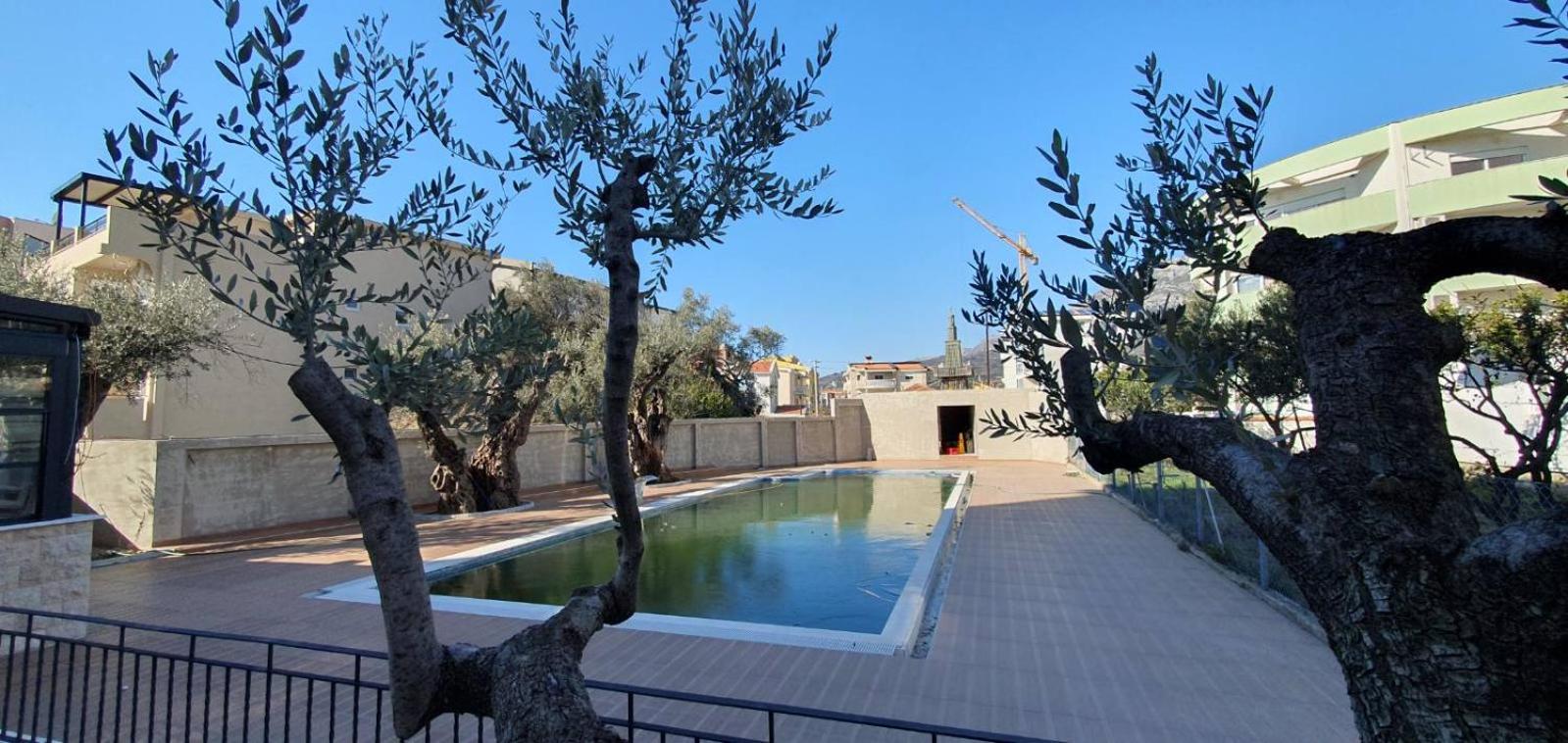 Apartment Verde