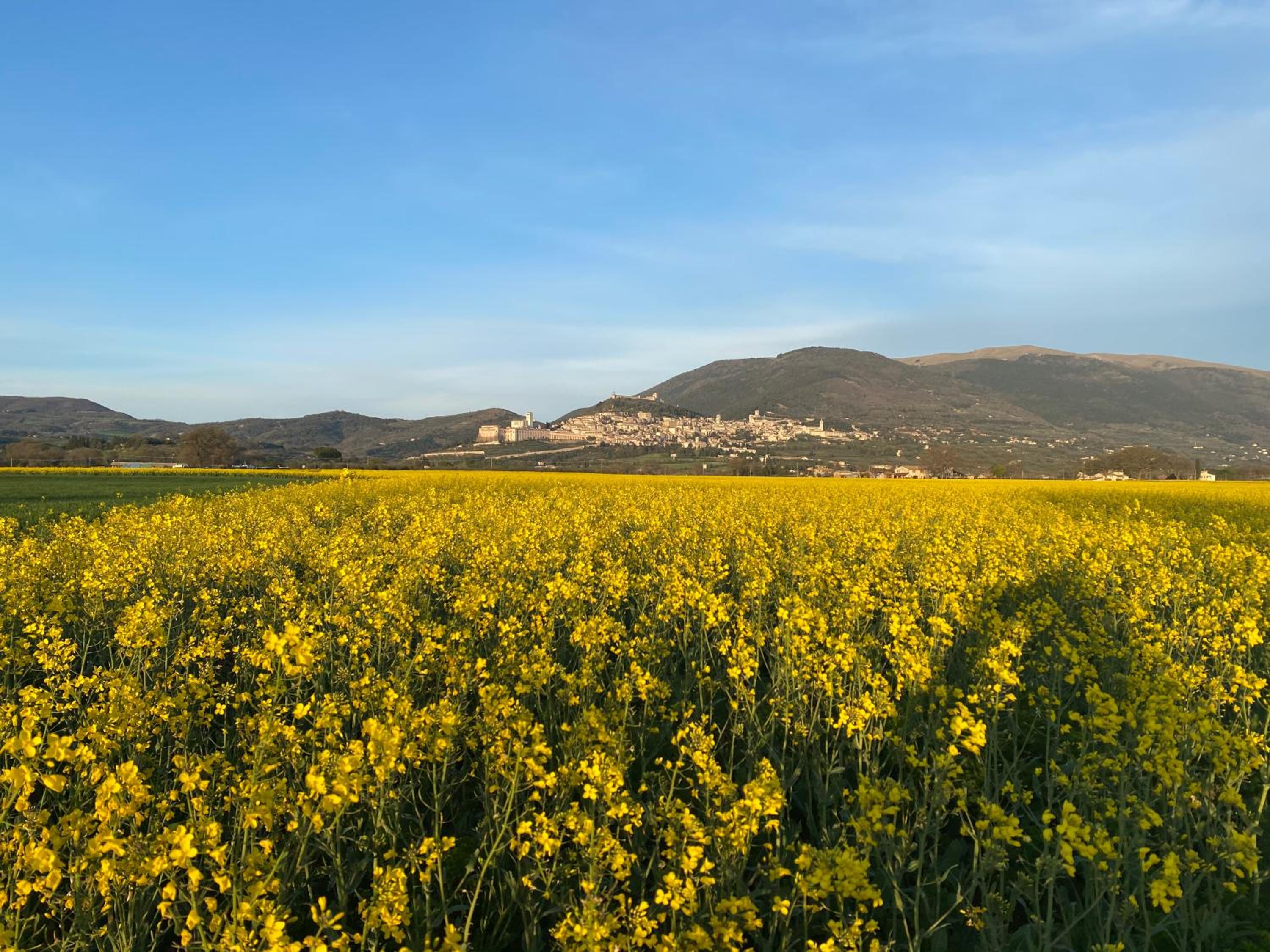 La Perla di Assisi
