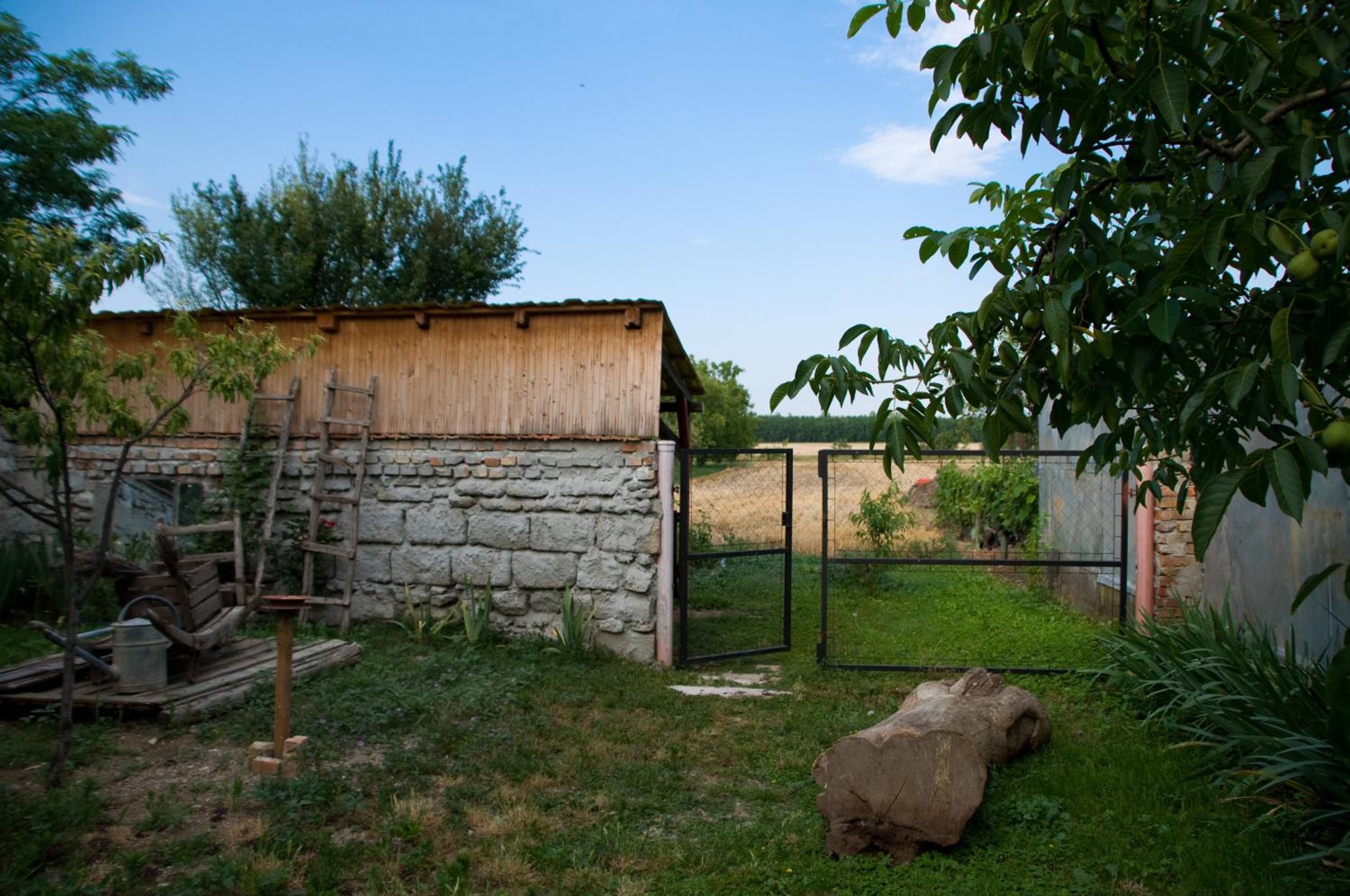 Nótás Tücsök Vendégház view 5