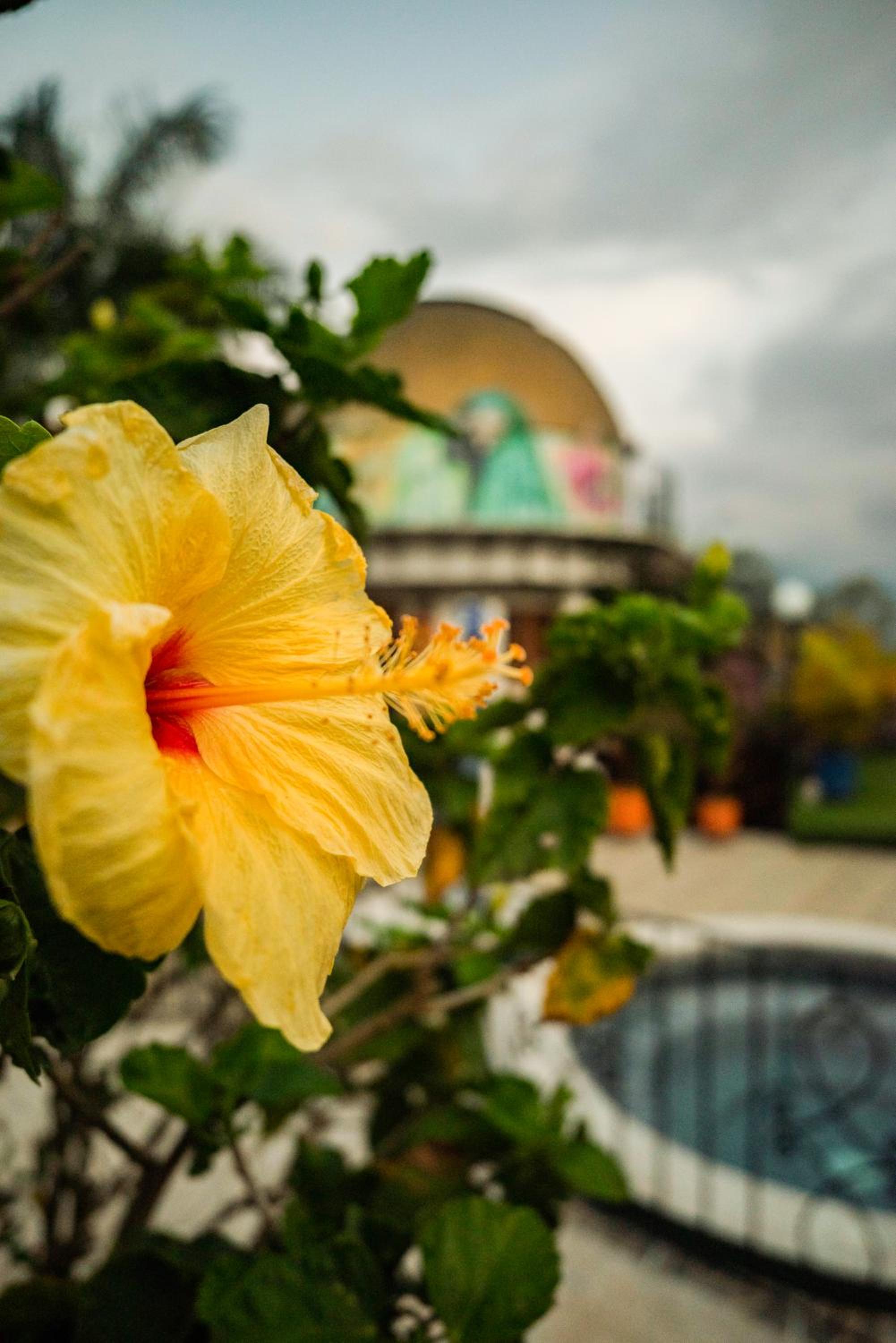 Ecovilla Cali
