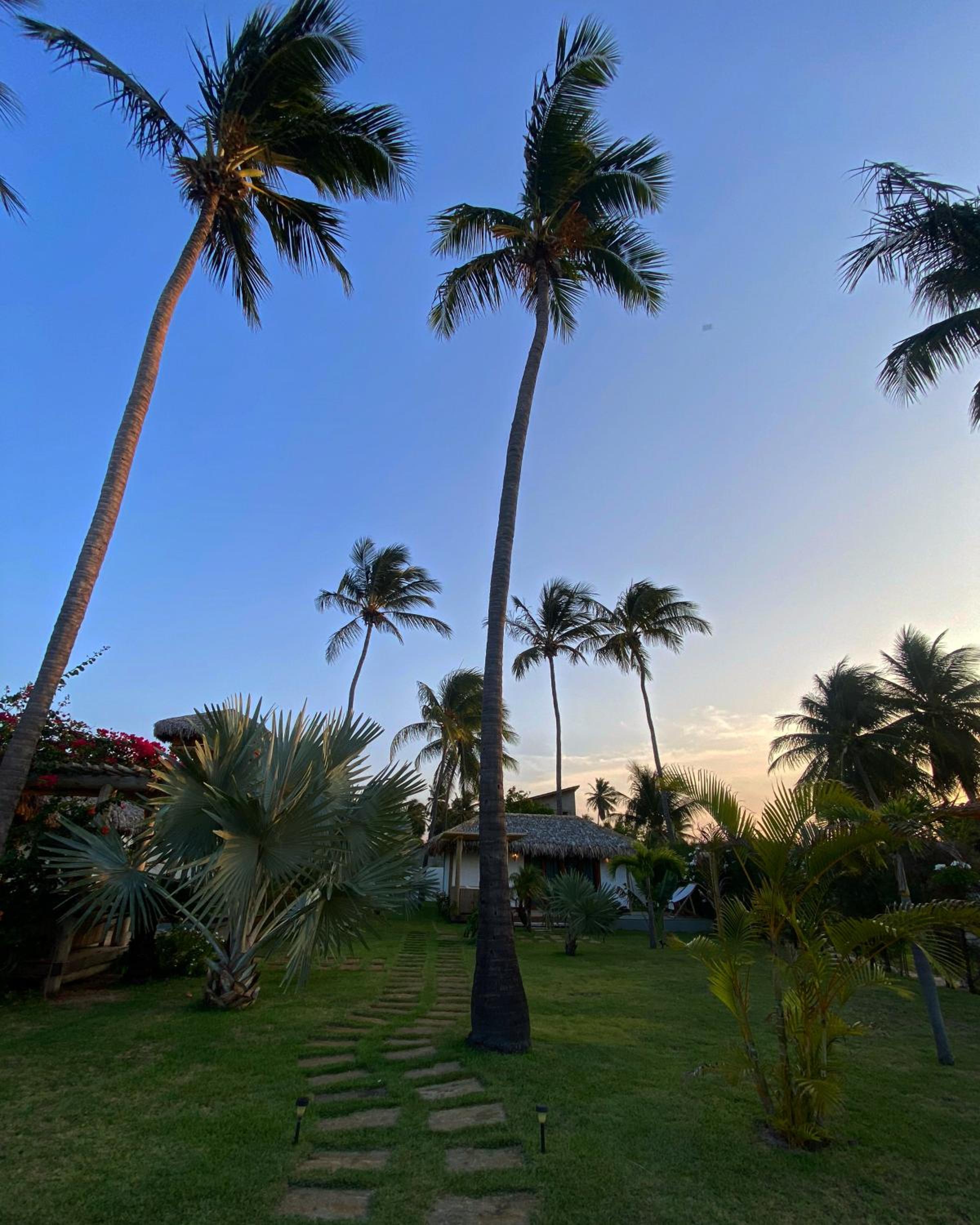 Tiki Pool's Bungalows