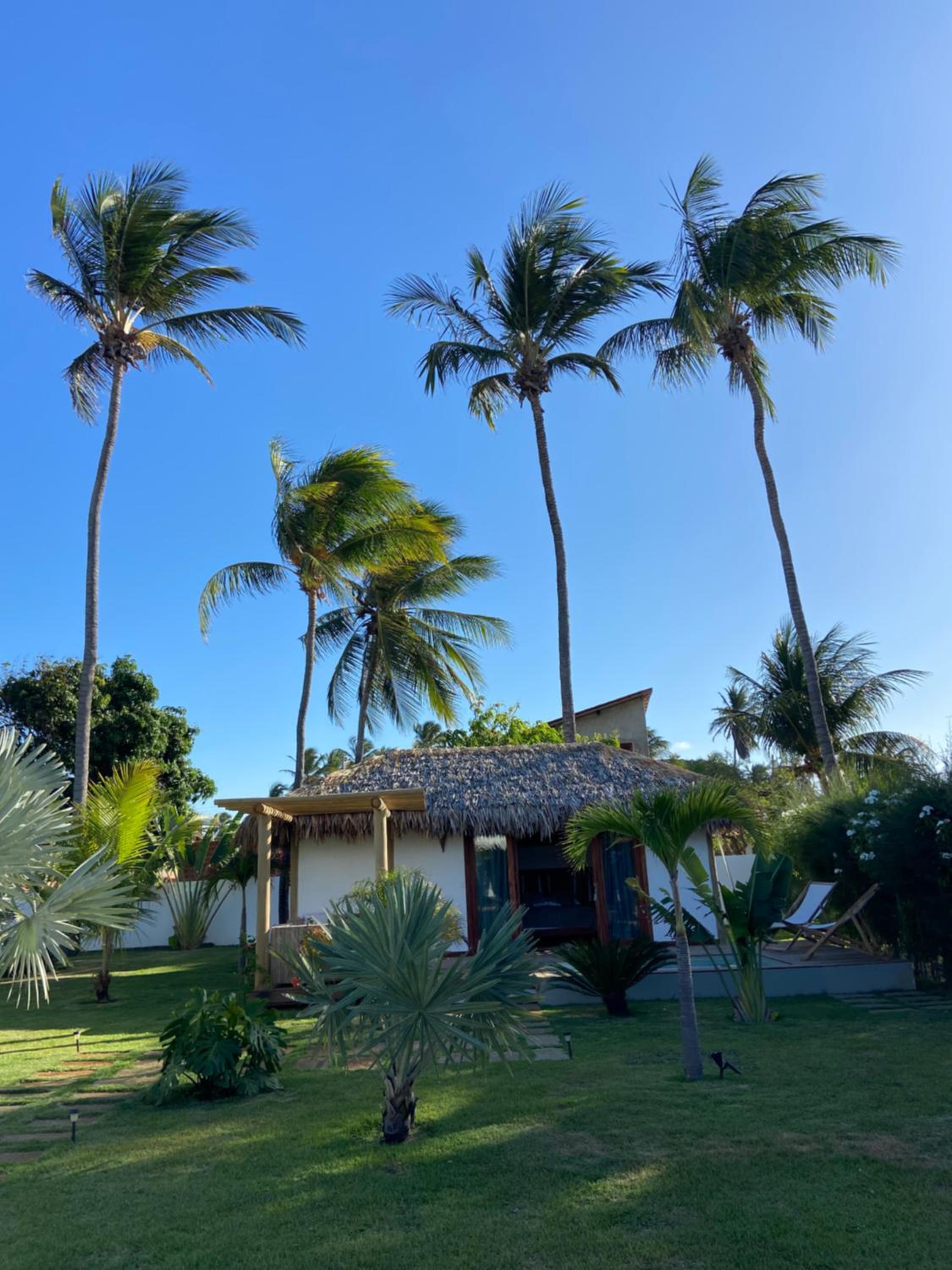 Tiki Pool's Bungalows