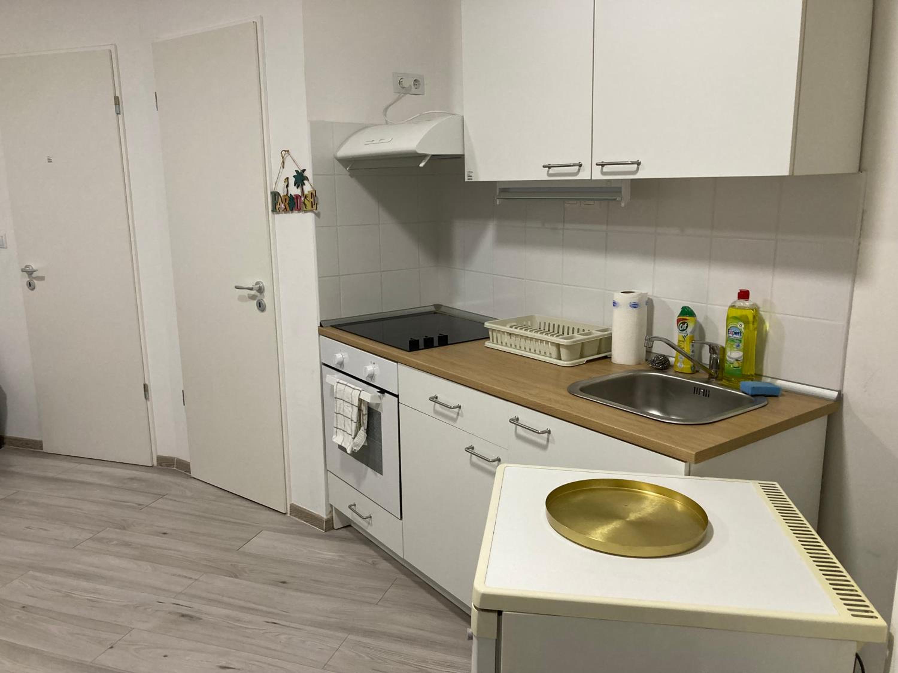 Roland Apartment Downtown - CORVIN view 3