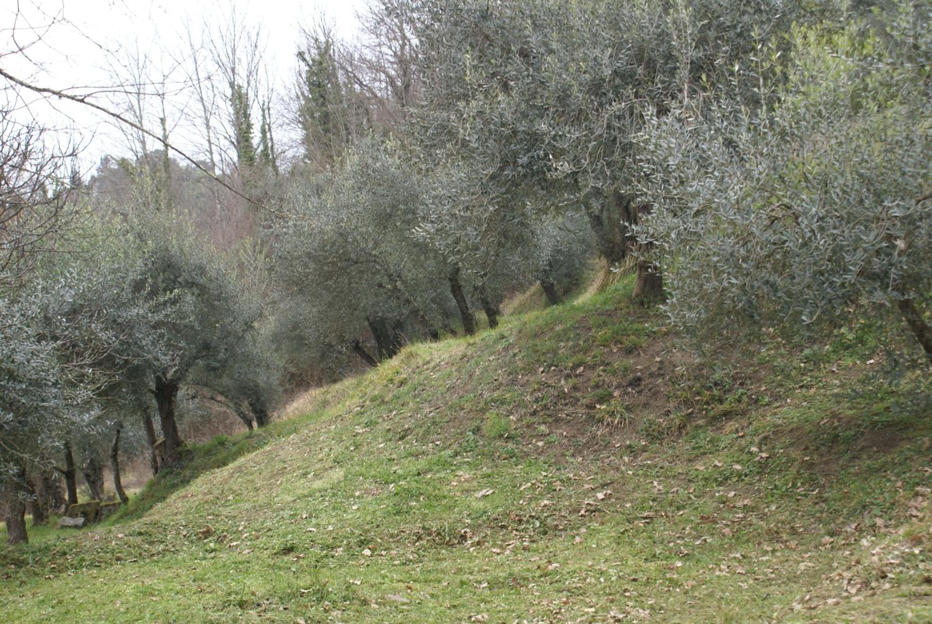 Photo 37