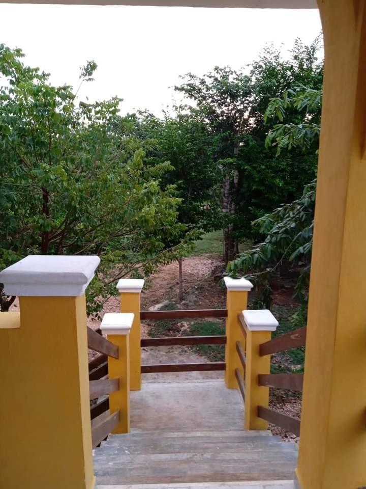 Photo 31